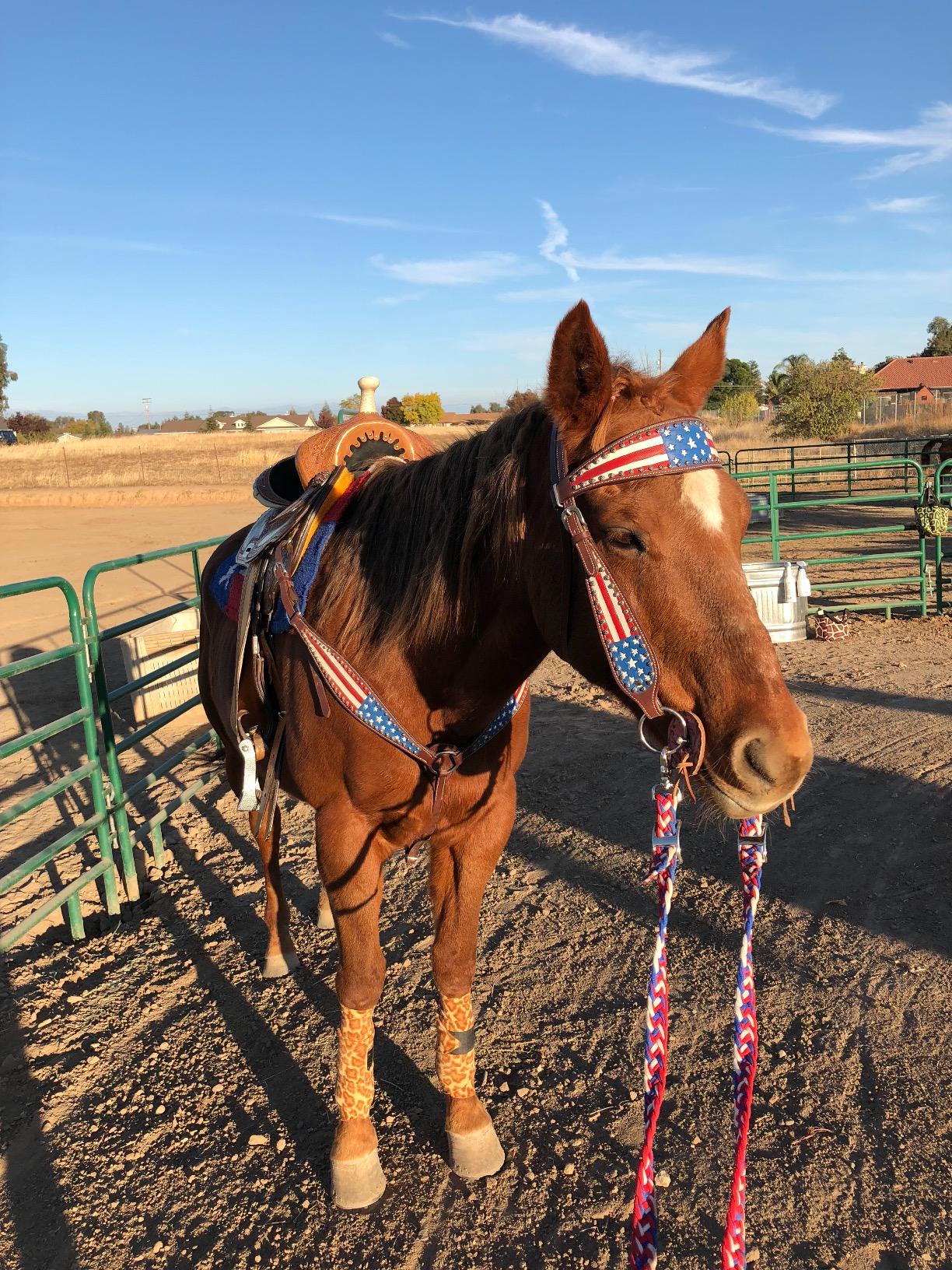 Tahoe Tack Patriotic American Flag Drum Dyed Leather Western Breast Collar (Full Horse Size) customer photo 1