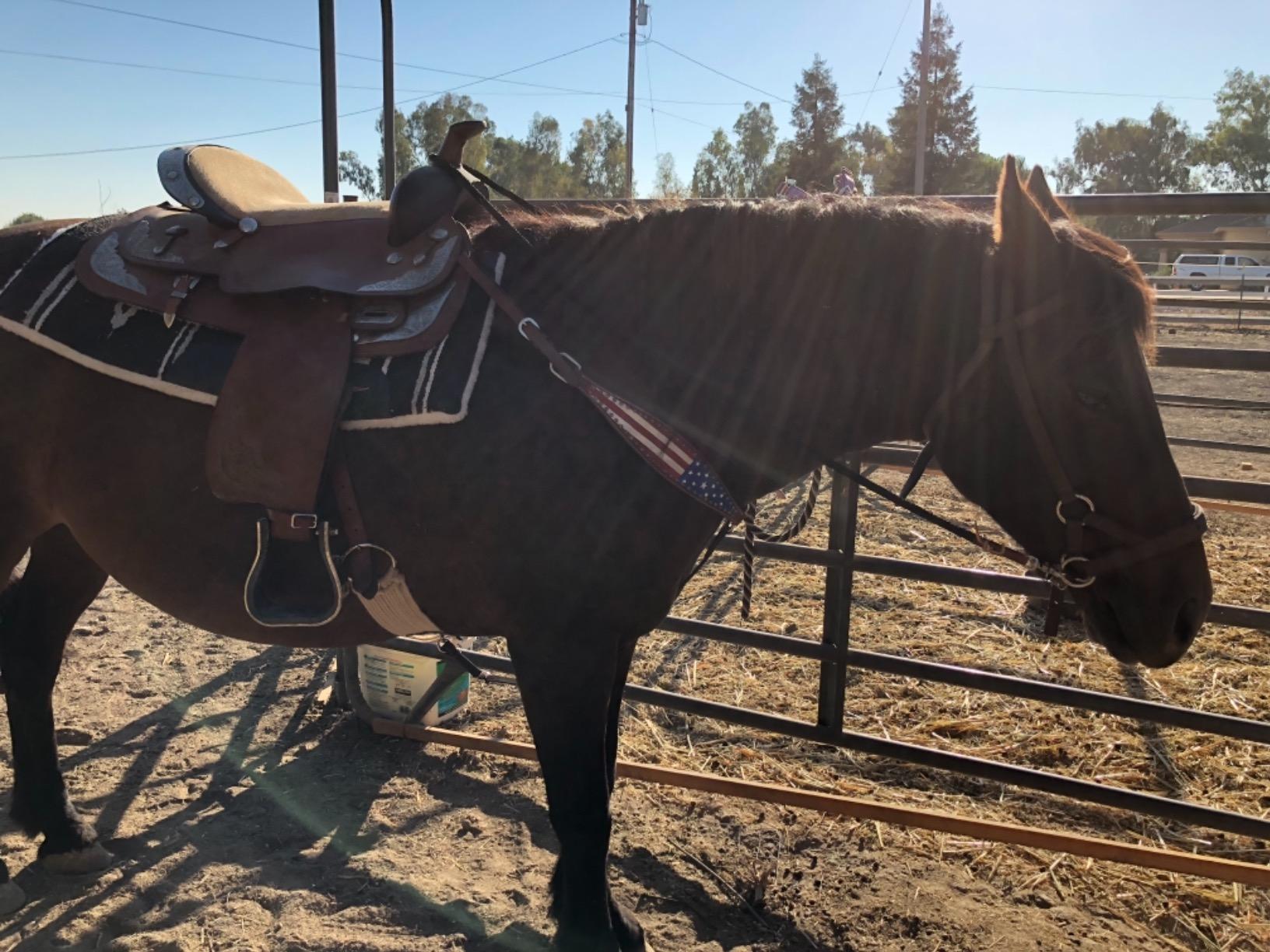 Tahoe Tack Patriotic American Flag Drum Dyed Leather Western Breast Collar (Full Horse Size) customer photo 2