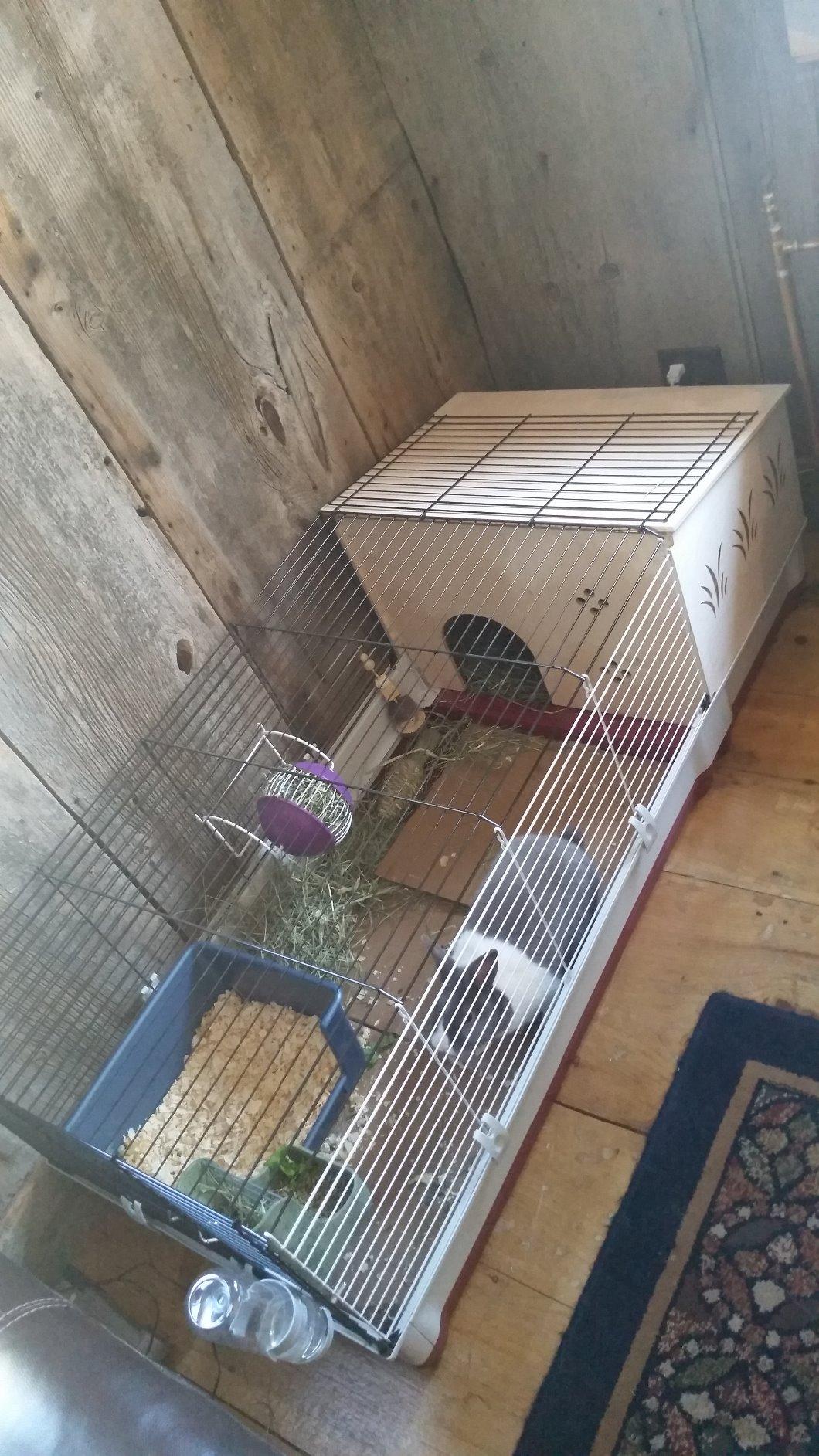 Ferplast Krolik Extra-Large Rabbit Cage w/ Wood Hutch Extension Rabbit Cage Includes All Accessories and Measures 55.9L x 23.62W x 19.68H customer photo 1