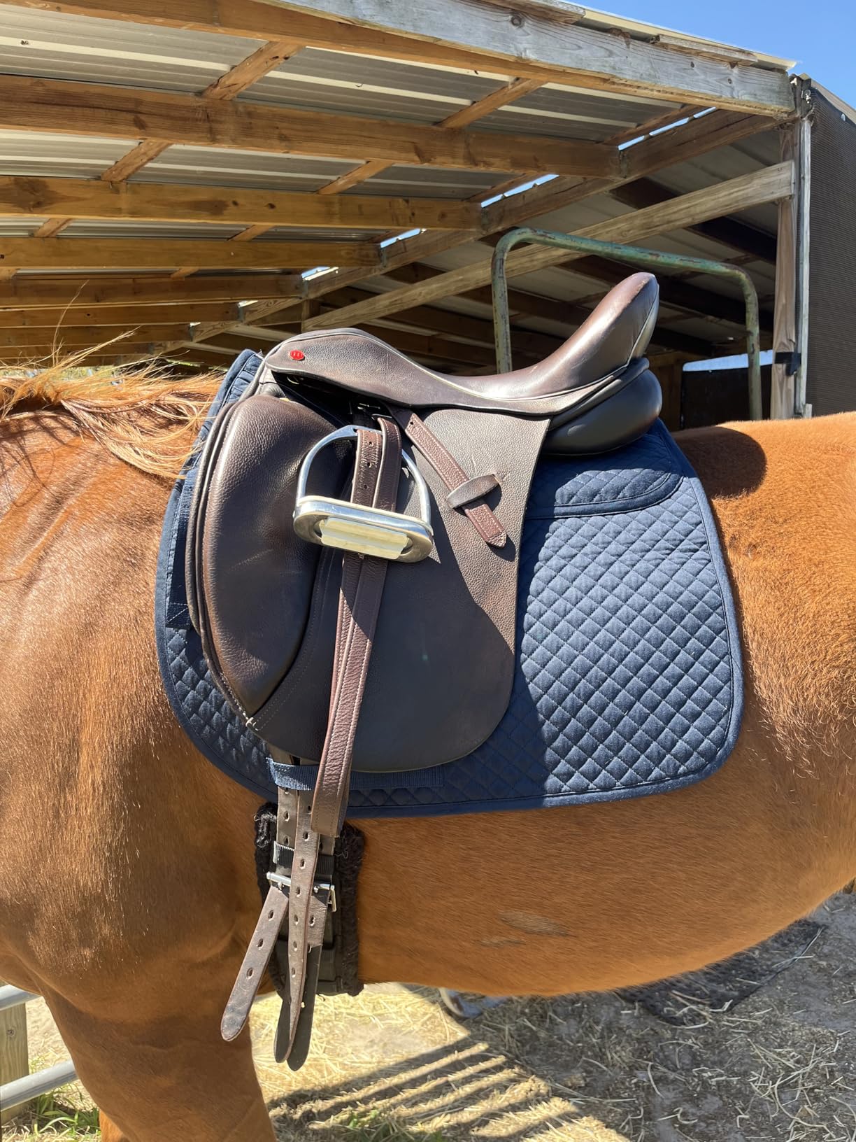 ECP Equine Comfort Products Contoured Correction Dressage Saddle Pad with Adjustable Memory Foam Shims, Quilted Poly-Cotton Design, Pressure Relief for Horses with Swayback or Muscle Loss customer photo 1