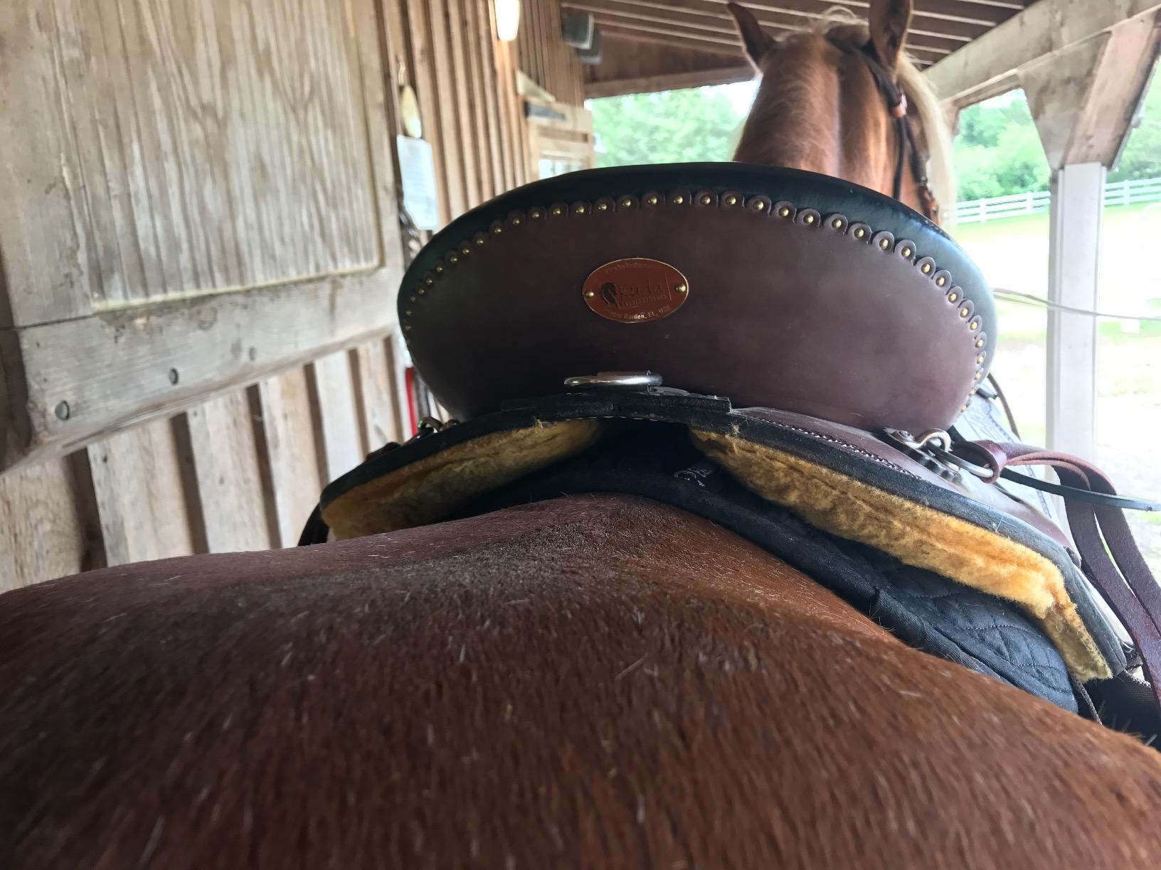 ECP Equine Comfort Products All-Purpose Correction Saddle Pad, Diamond Quilted Design with Adjustable Memory Foam Shims for Customized Fit, Pressure Relief, and Breathable Performance customer photo 1