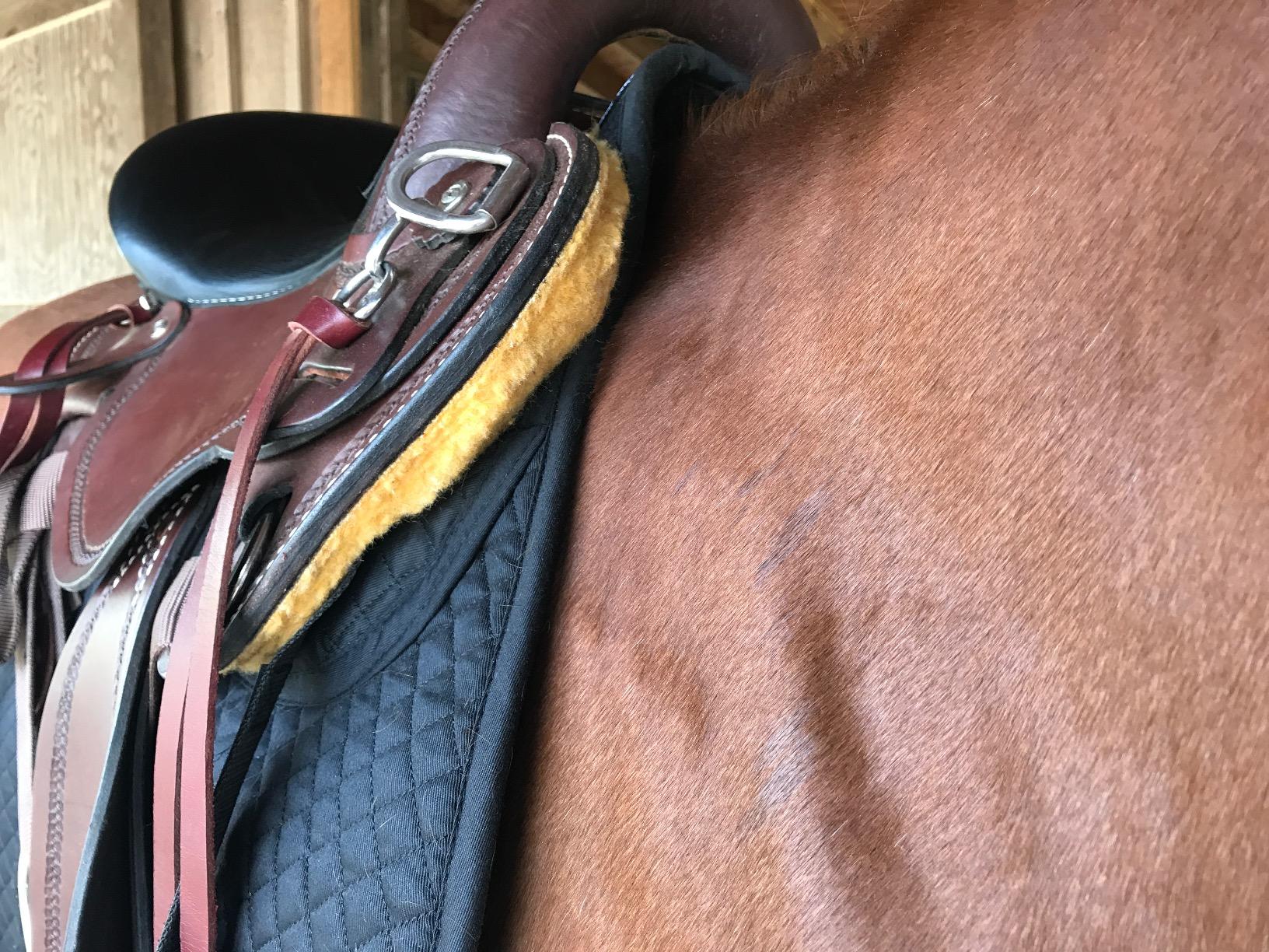 ECP Equine Comfort Products All-Purpose Correction Saddle Pad, Diamond Quilted Design with Adjustable Memory Foam Shims for Customized Fit, Pressure Relief, and Breathable Performance customer photo 2