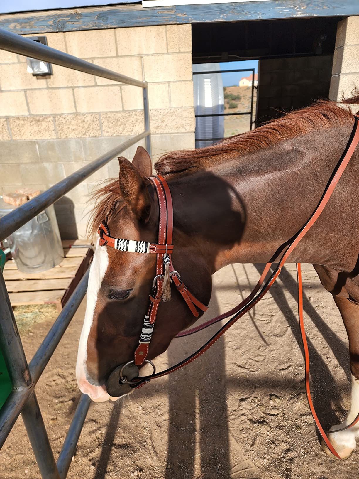 Showman Celtic Knot Headstall and Breast Collar Set with Rawhide Braided Accents customer photo 2
