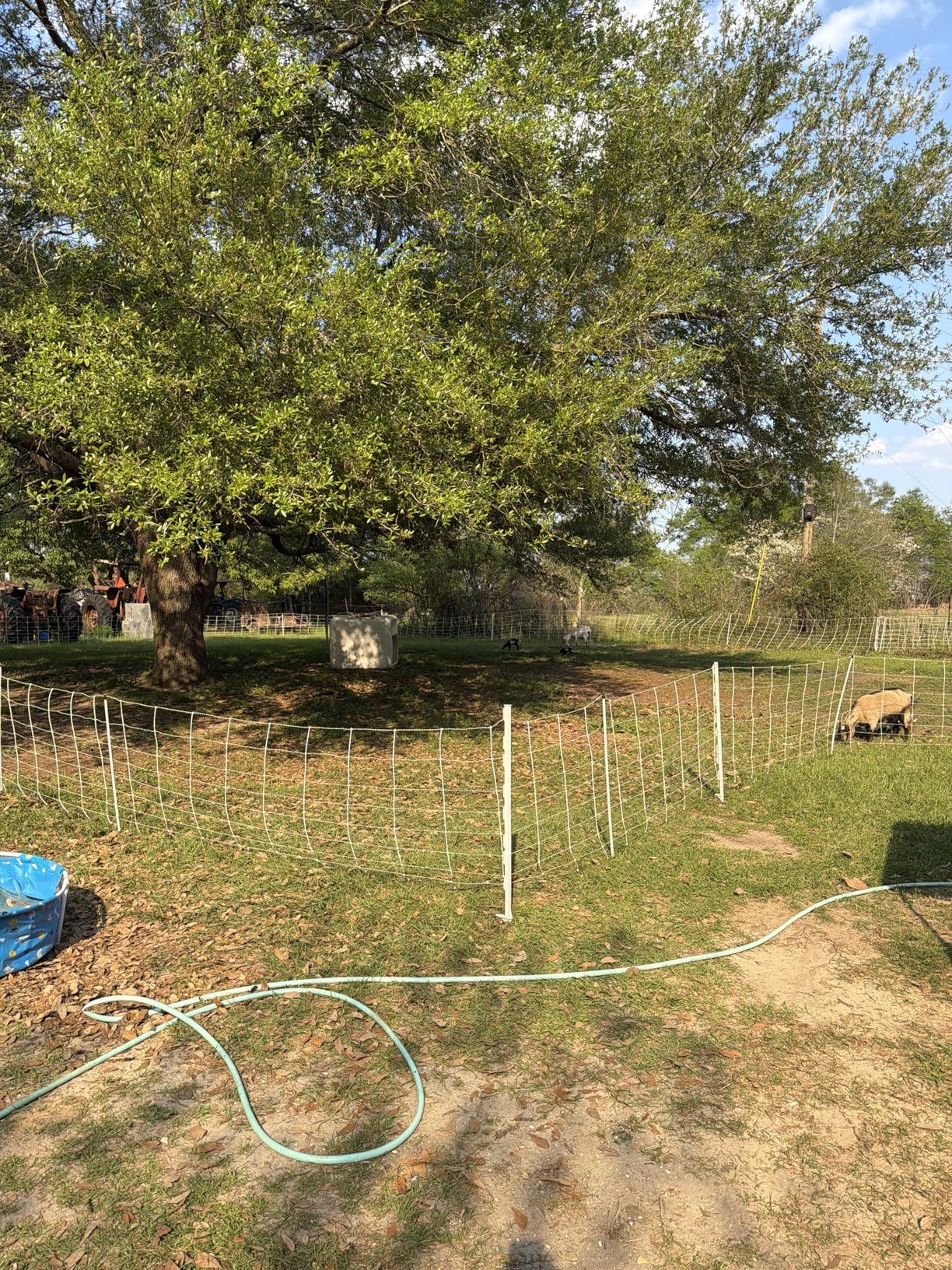 Premier 1 ElectroNet Electric Fence for Sheep & Goats - 35