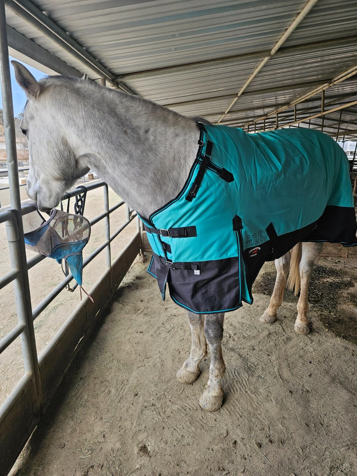 Challenger 1200D Horse Turnout Waterproof Heavy-Weight Winter Blanket Black 551G customer photo 1