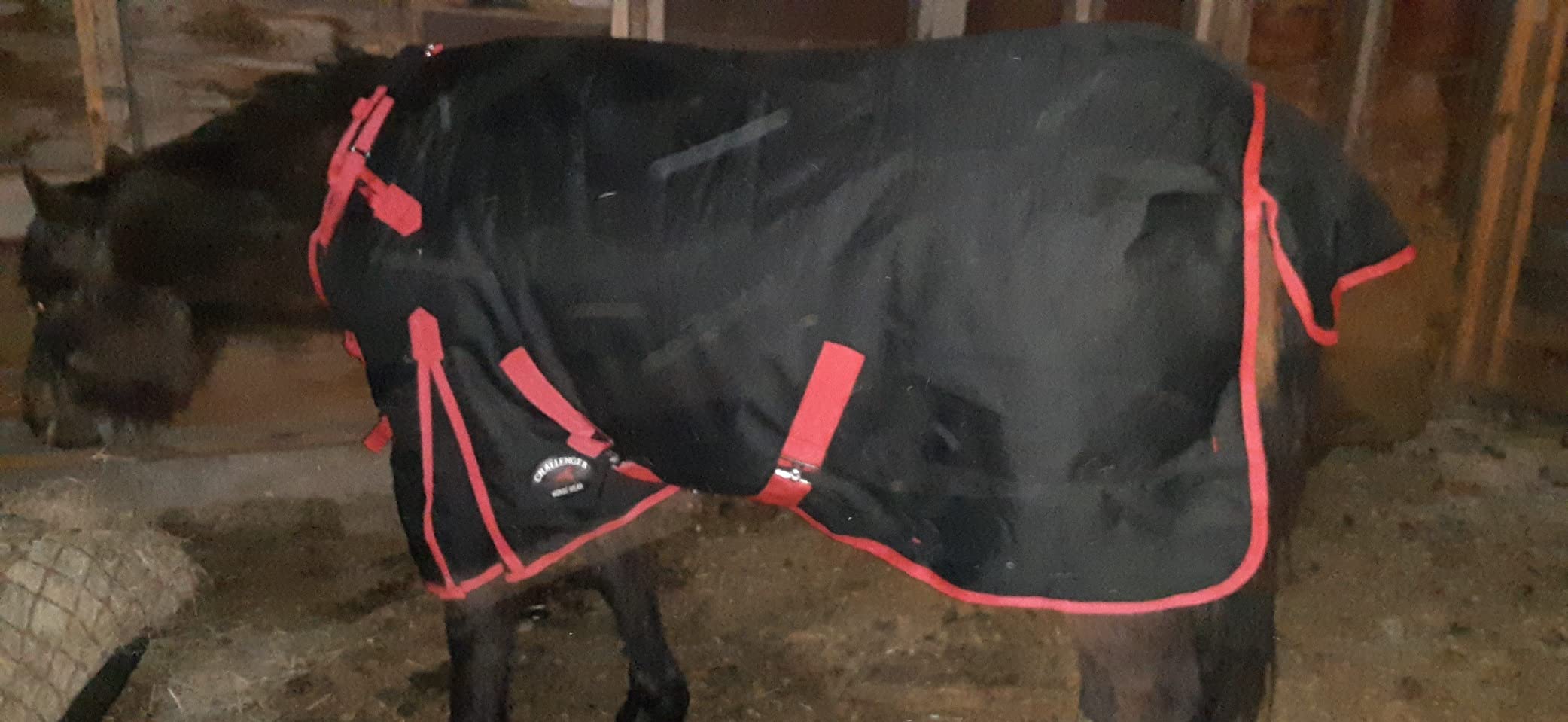 Challenger 1200D Horse Turnout Waterproof Heavy-Weight Winter Blanket Black 551G customer photo 2
