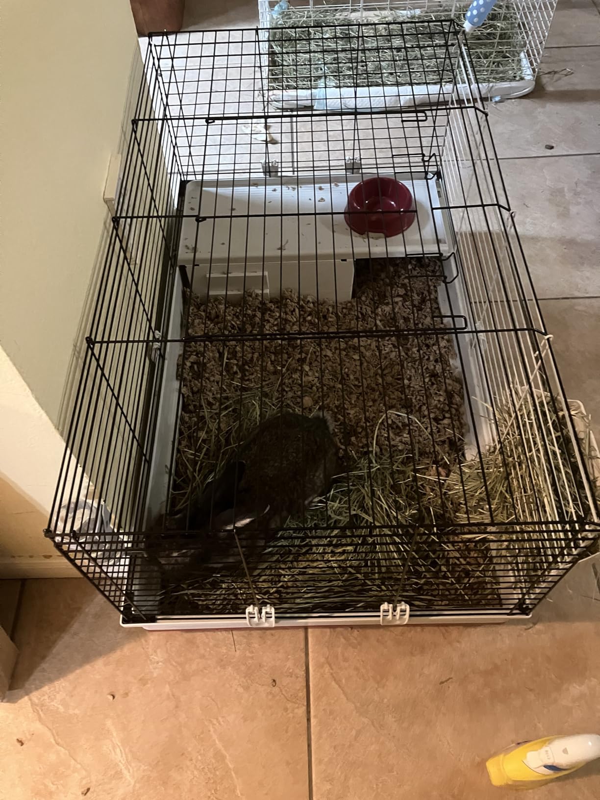 MidWest Homes for Pets 158 Wabbitat Deluxe Rabbit Home, Rabbit Cage, 39.5 L x 23.75 W x 19.75 H Inch, Maroon/White customer photo 1