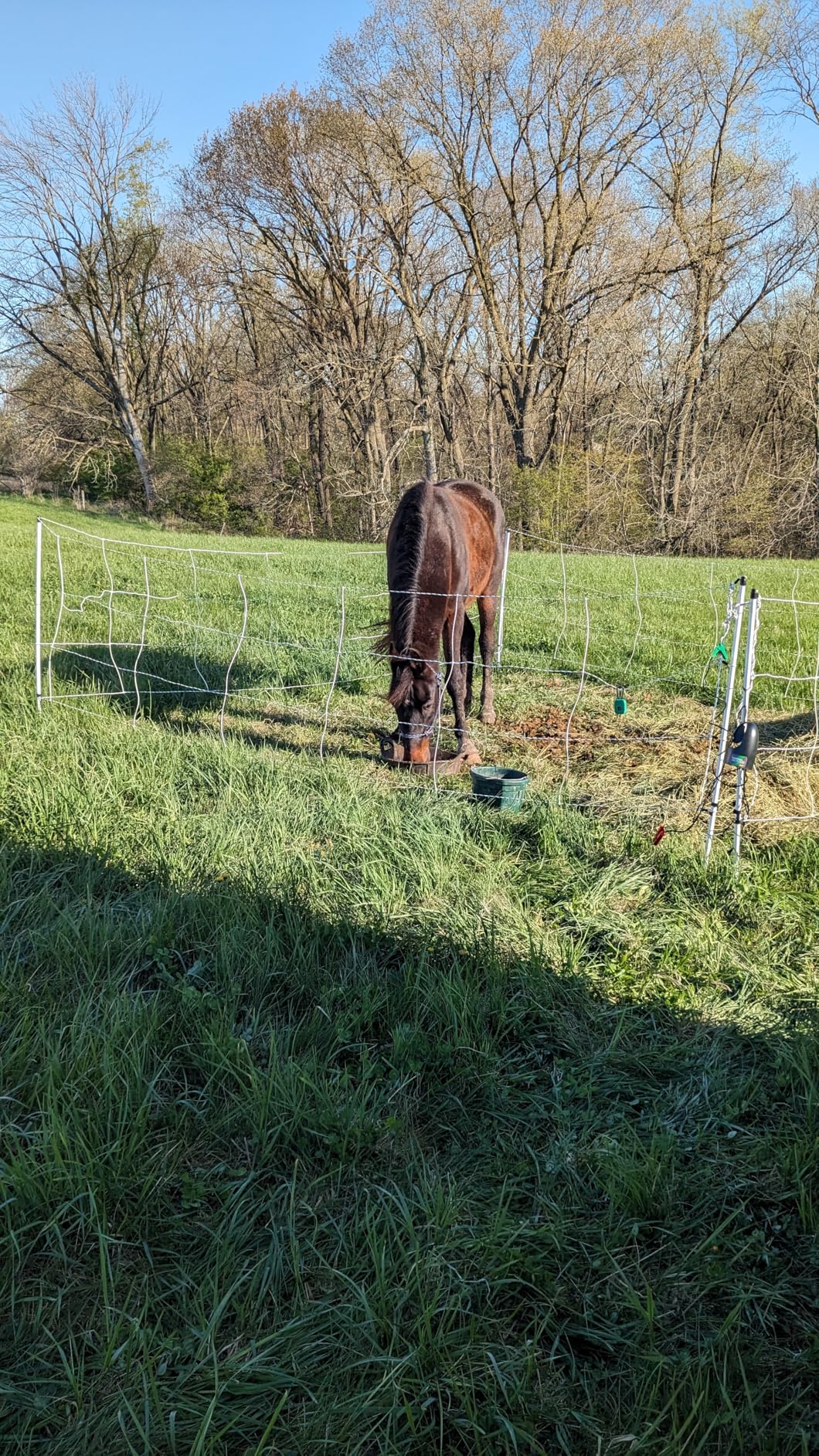 Premier 1 Horse QuikFence Electric Fence for Horses - 48