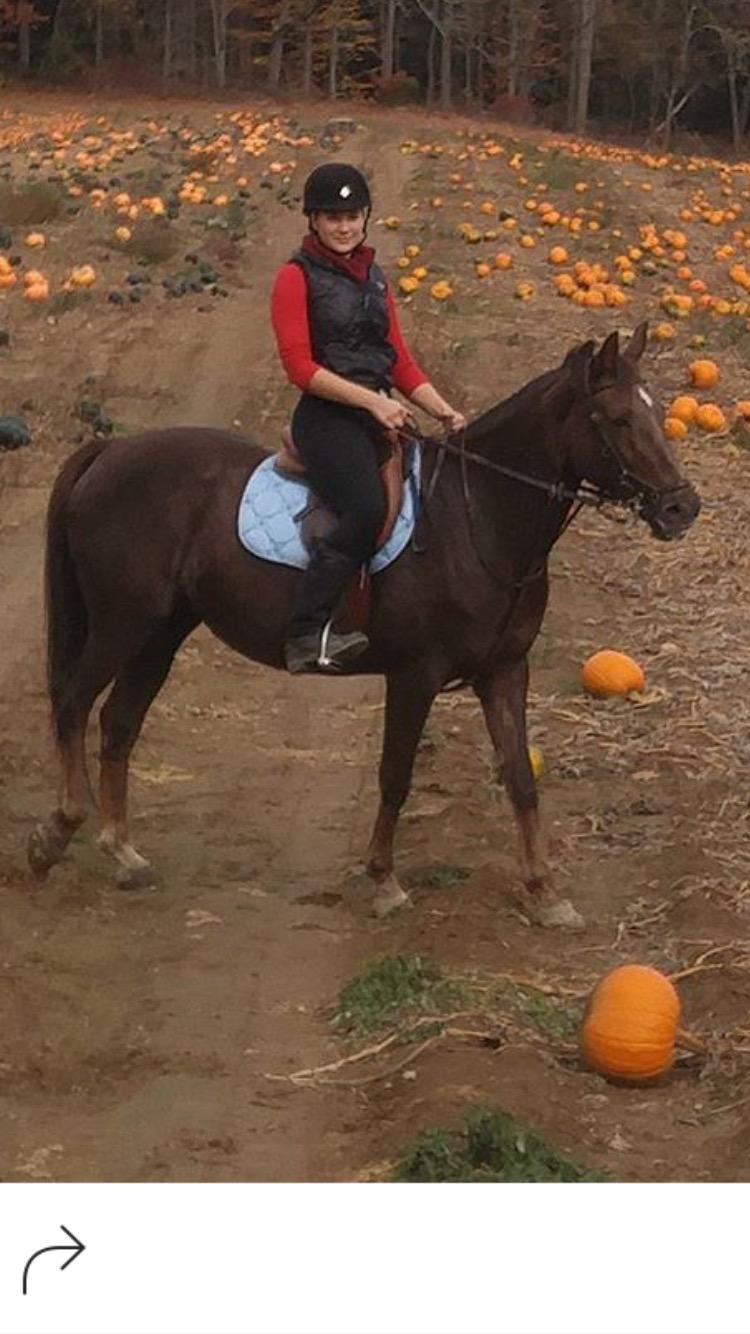 Kavallerie Gel Saddle Pad - Helps with Saddle Bridging, Sore Back, Swayed Back, High Withers, English Bareback Pad for Horses, Perfect for Eventing, Schooling, Dressage, Jumping Training customer photo 2