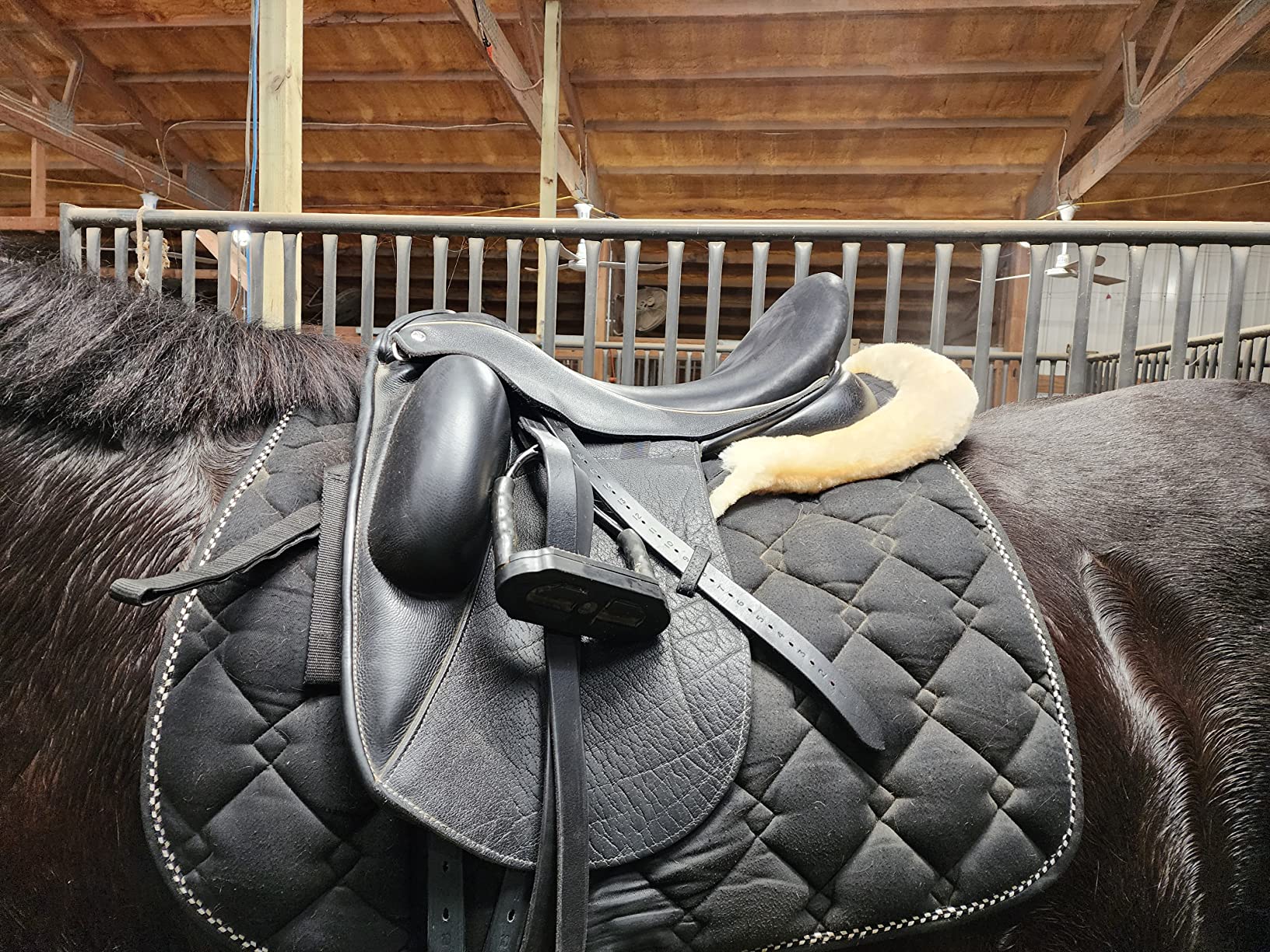 LeMieux Half Saddle Pad - English Saddle Pads for Horses - Equestrian Riding Equipment and Accessories customer photo 1