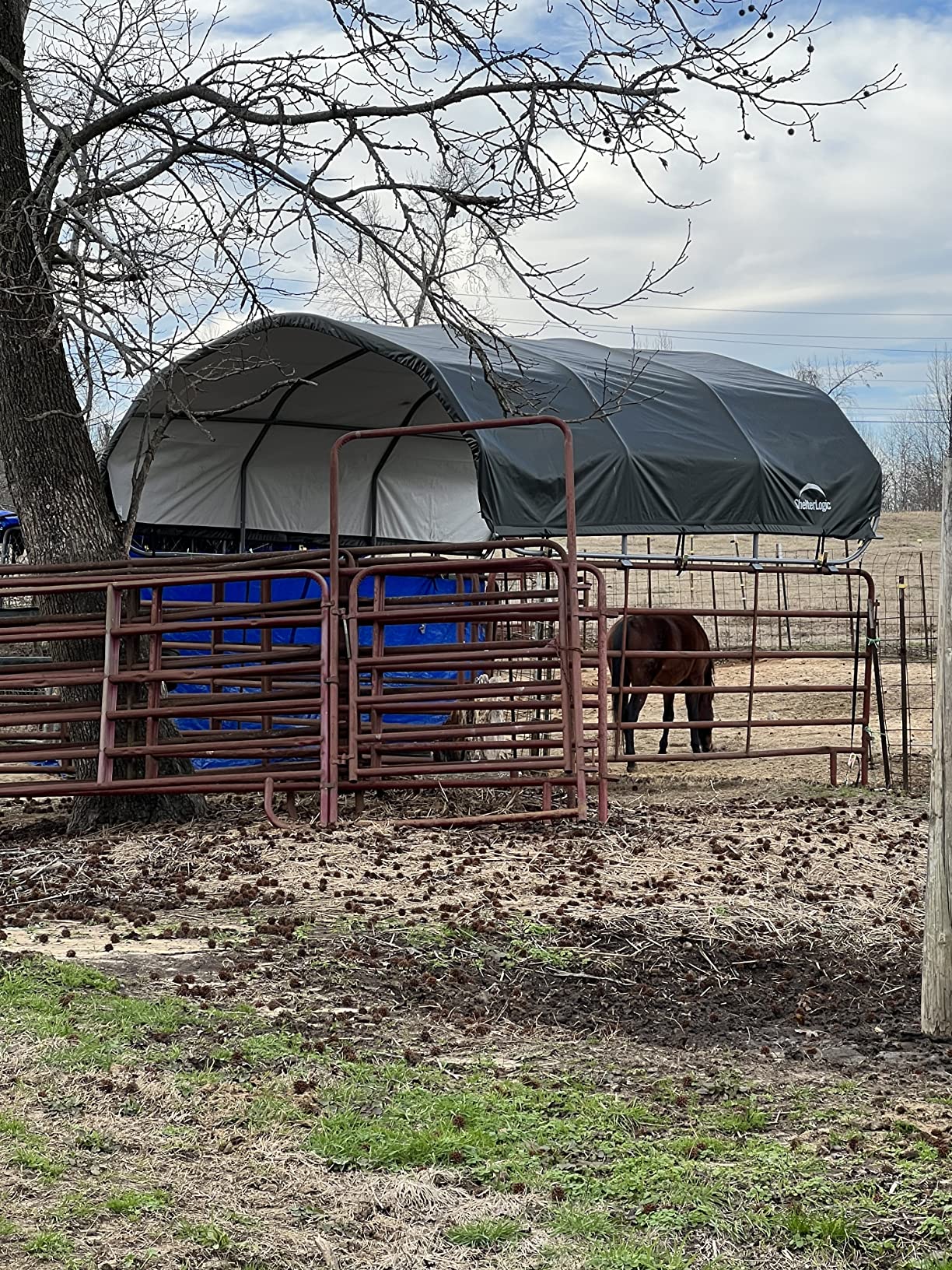 ShelterLogic 12' x 12' Corral Shelter and Livestock Shade Waterproof and UV Treated Universal Cover for Horses, Goats, and Other Livestock (Corral Panels Not Included) customer photo 1