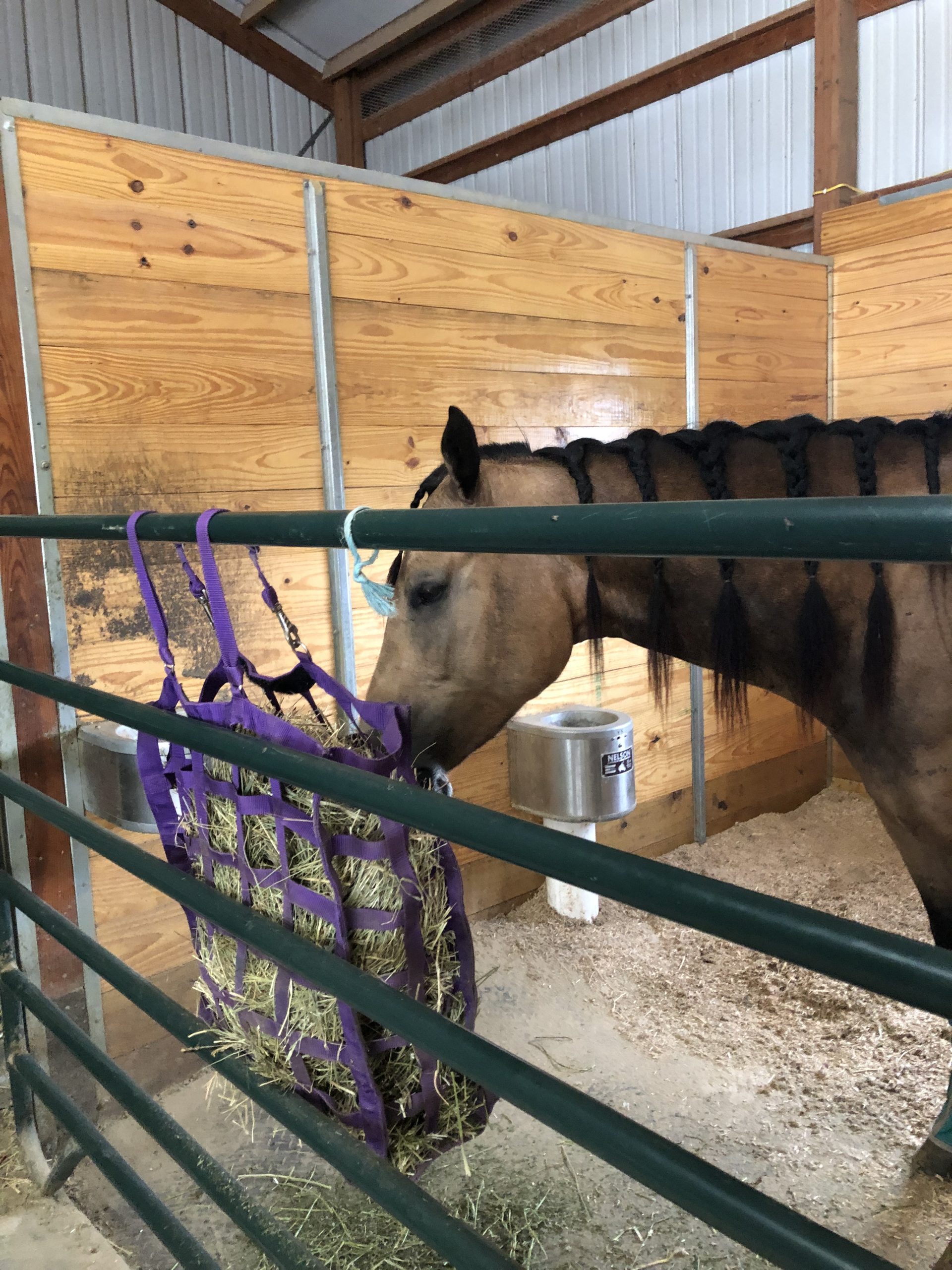 Derby Originals Easy Feeder Horse Hay Bag with Super Tough Bottom and 1 Year Warranty customer photo 2