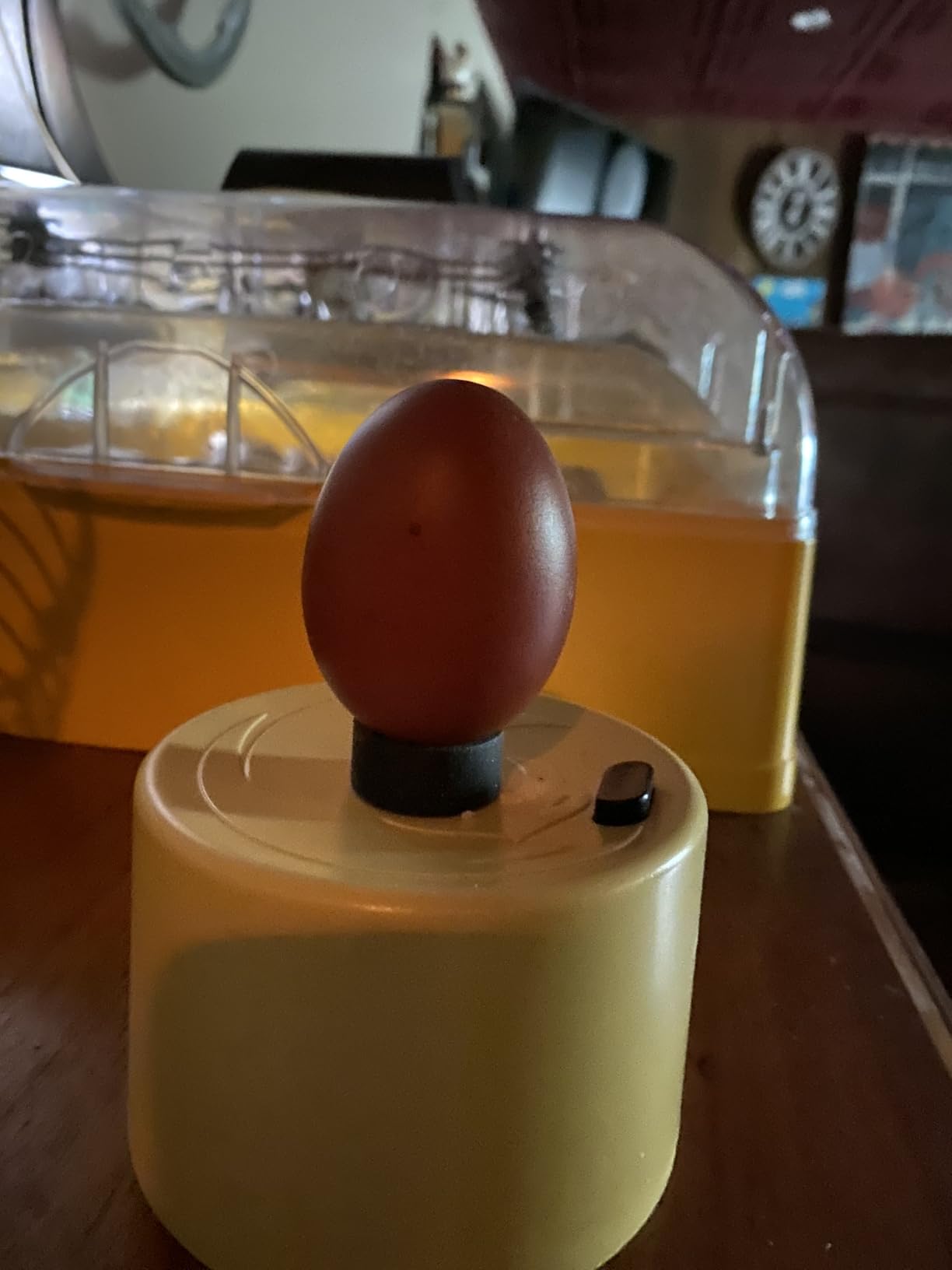 Titan Incubators High Intensity LED Chicken Egg Candler/Tester - Battery Powered customer photo 1