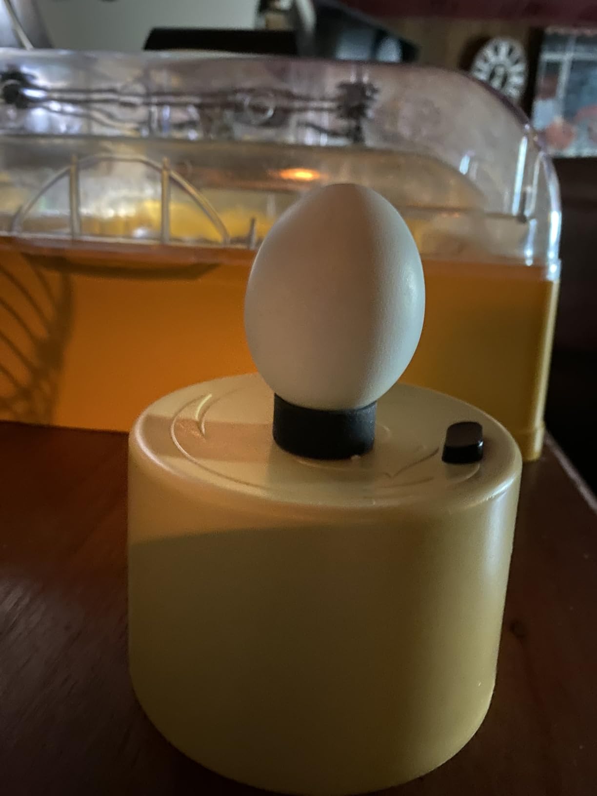 Titan Incubators High Intensity LED Chicken Egg Candler/Tester - Battery Powered customer photo 2