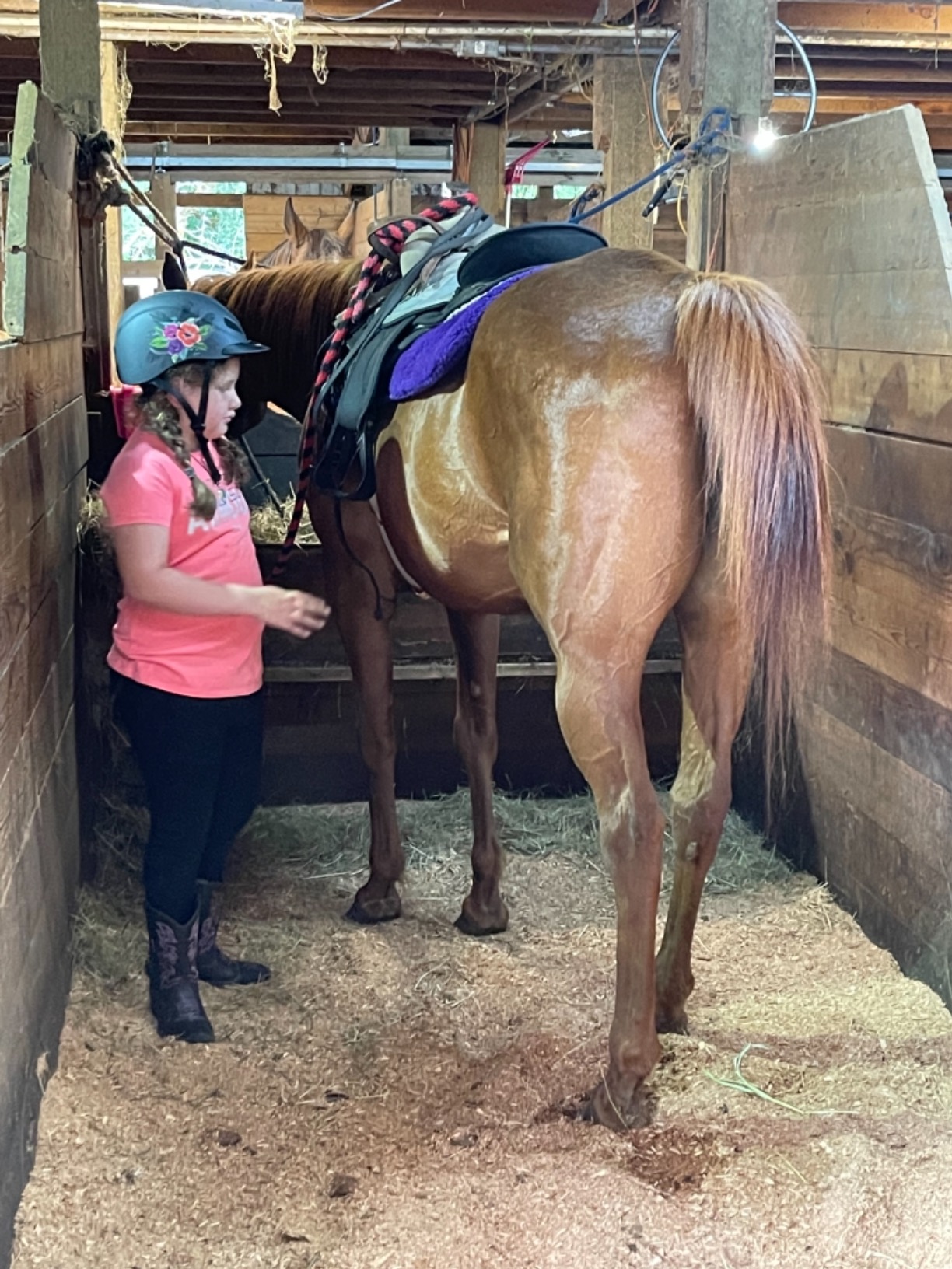 Troxel Rebel Aloha Horse Riding Helmet customer photo 2