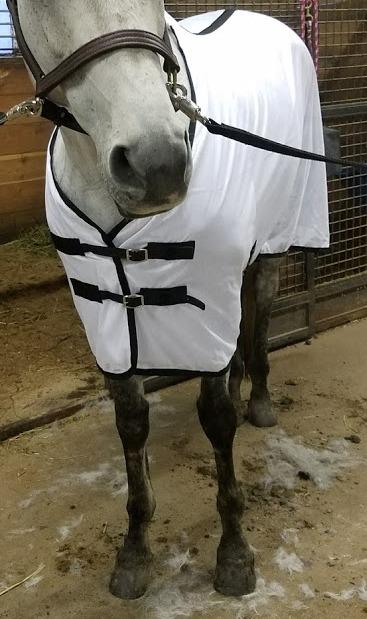 TuffRider Comfy Mesh Fly Sheet | UV Protection Horse Sheet, Standard Neck, 130 Grams Breathable Polyester Mesh - White - 75 customer photo 2