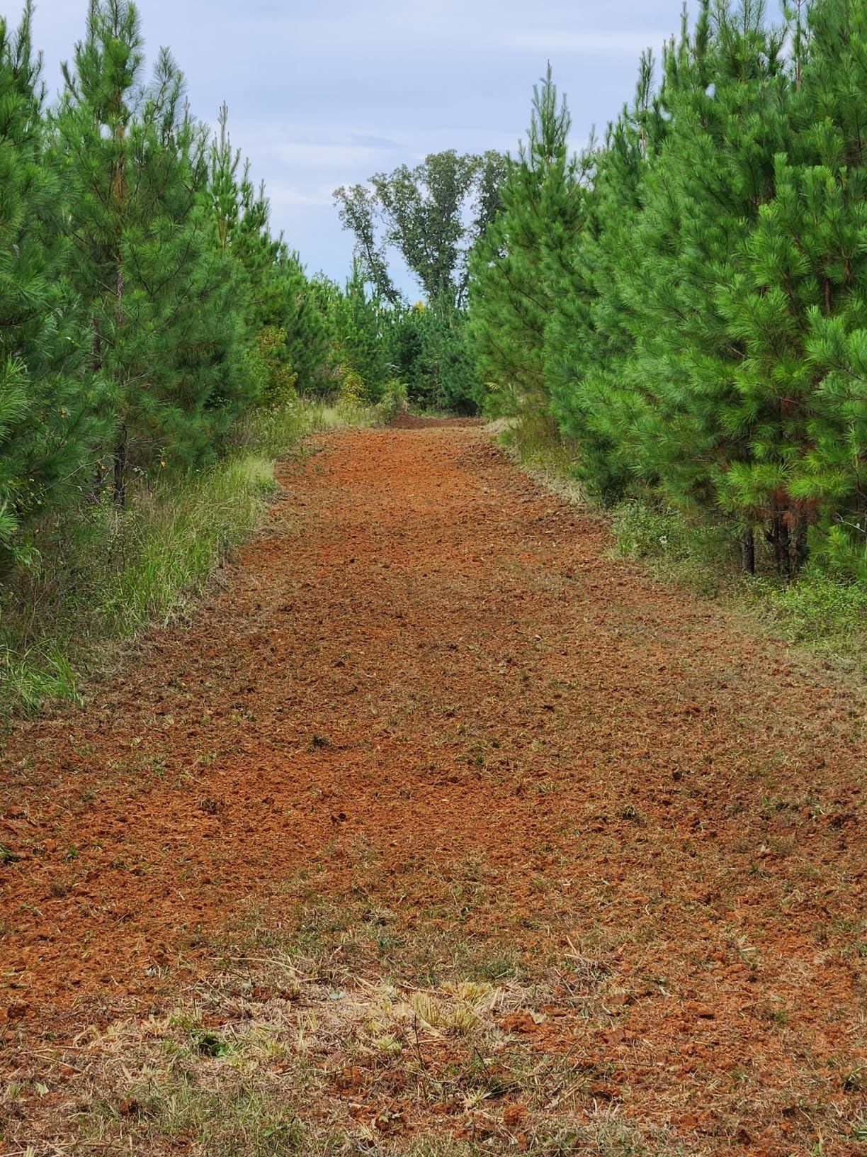 Black Boar Camco ATV/UTV Disc Harrow Implement | Specifically Designed to Thoroughly Break up Tough Ground | (66001) customer photo 2