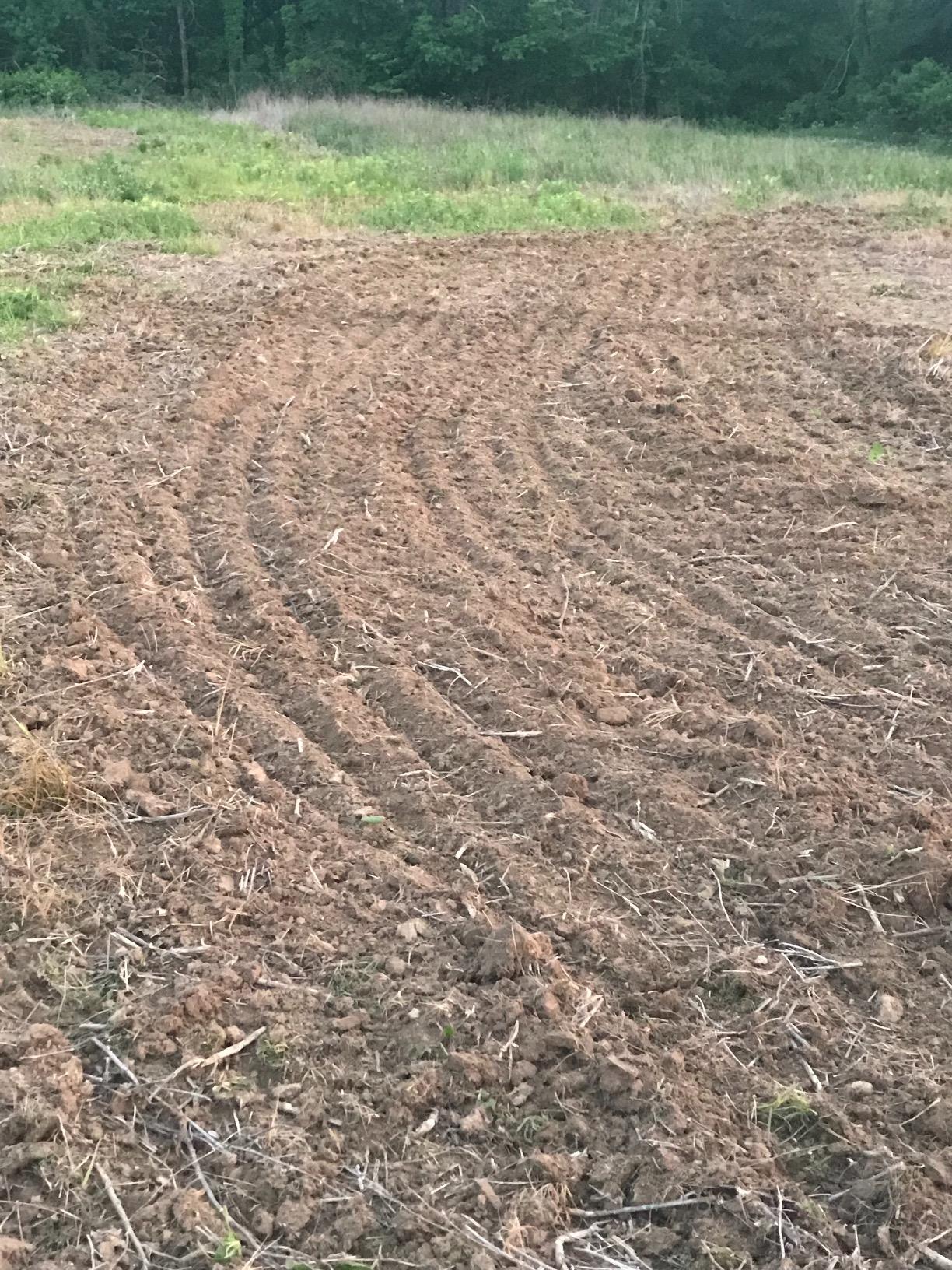 Impact Implements 55