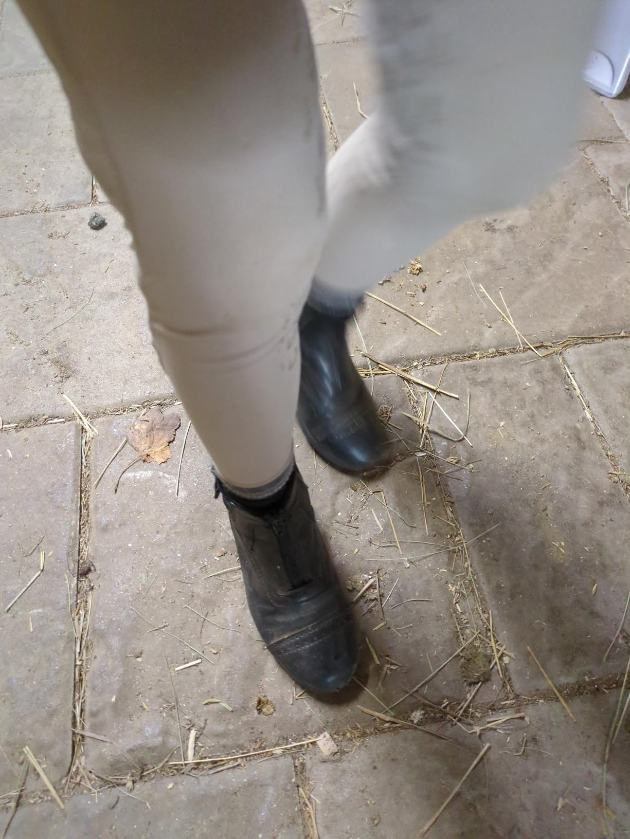 Saxon Syntovia Zip Paddock Boots customer photo 2