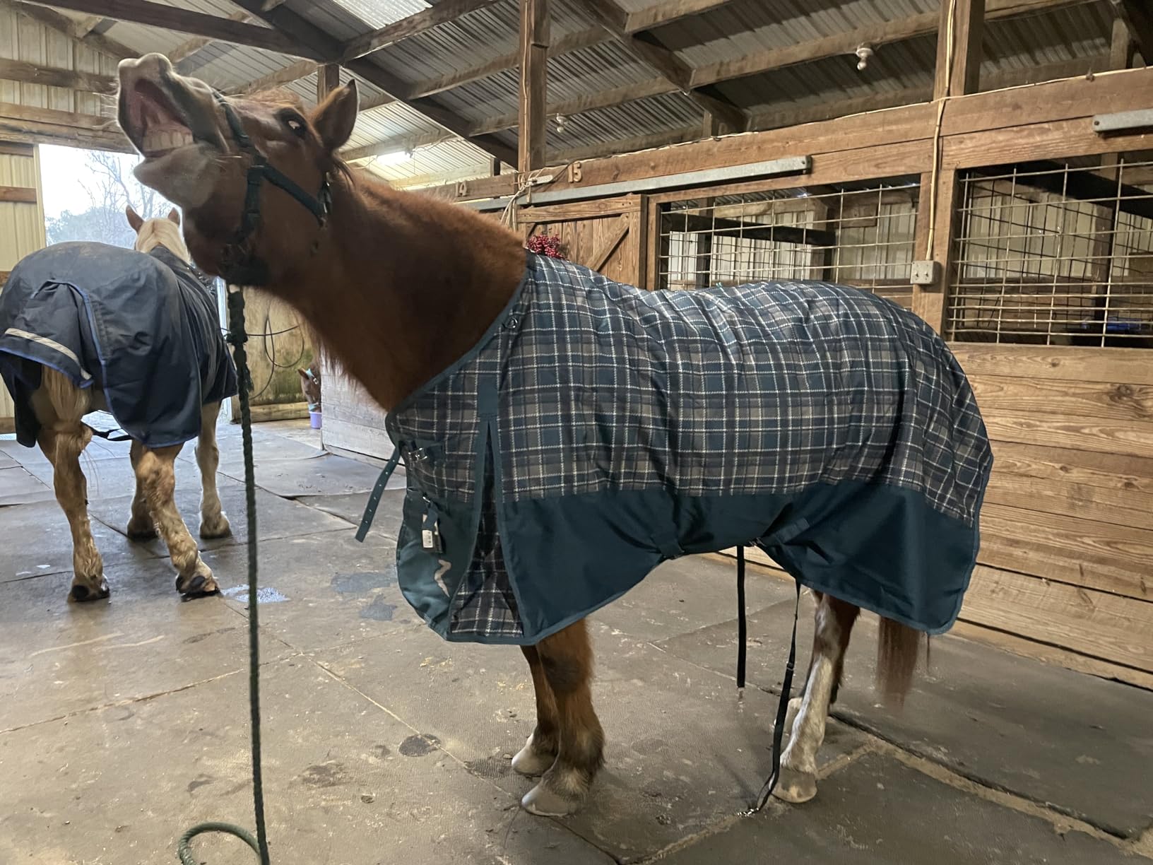 Horze Nevada Medium Weight 1200D Waterproof Horse Turnout Blanket (200g Fill) - Black - 78 in customer photo 1