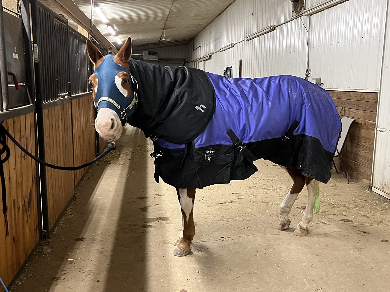 Horze Nevada Medium Weight 1200D Waterproof Horse Turnout Neck Cover Hood (200g Fill) - Black customer photo 1
