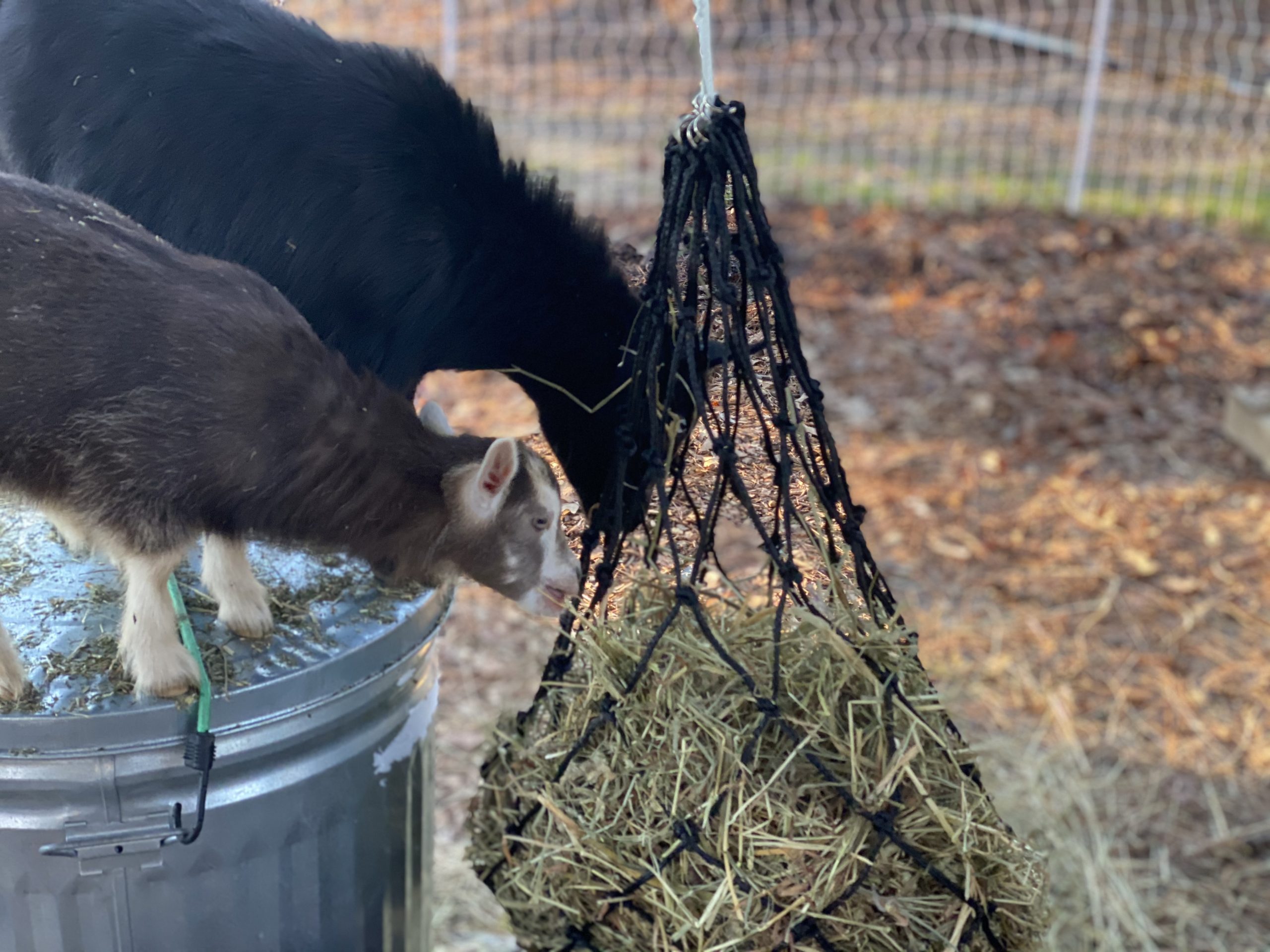 BLOOMOAK Hay Net for Horse, Black Hay Bag 40