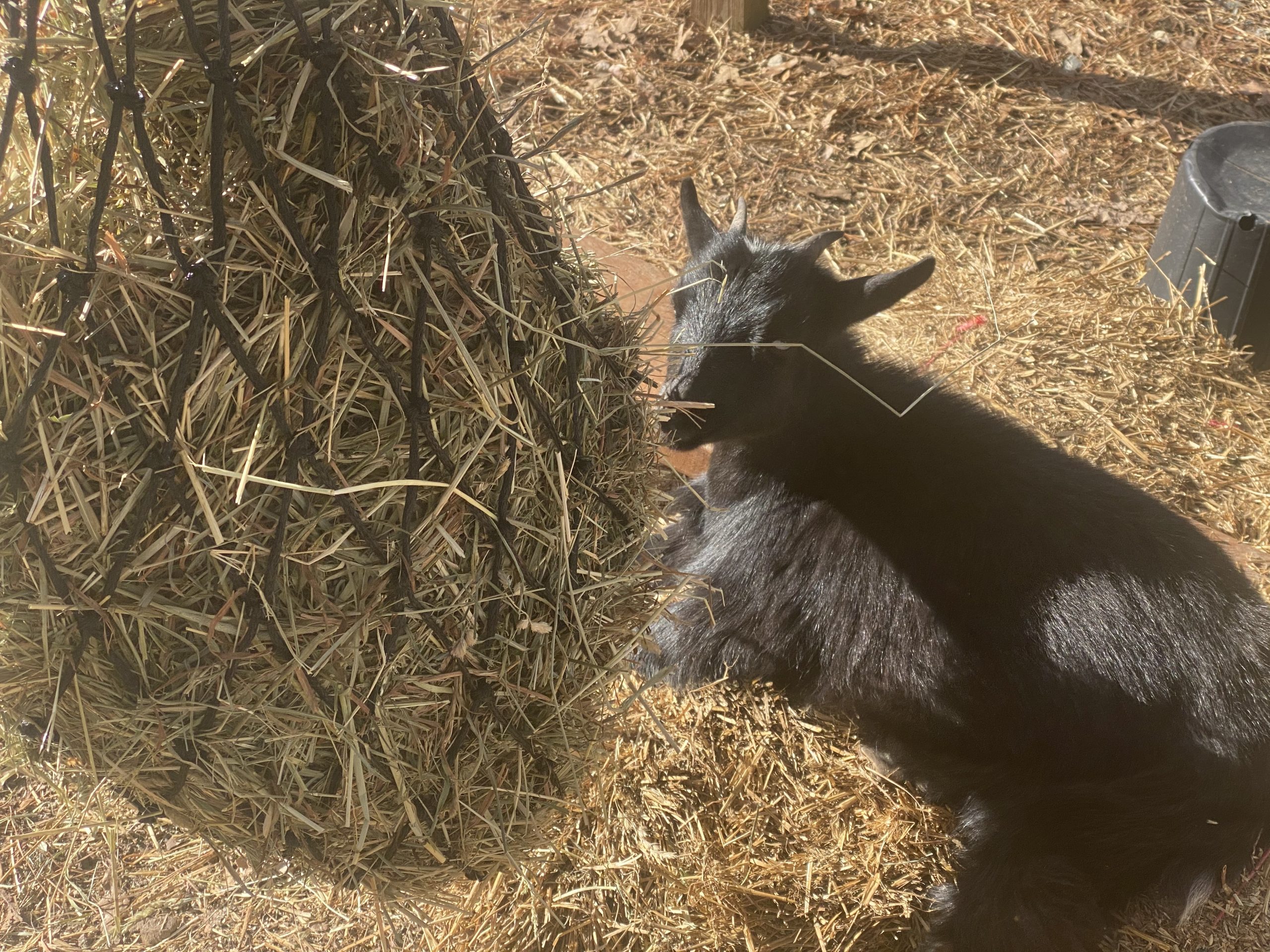 BLOOMOAK Hay Net for Horse, Black Hay Bag 40