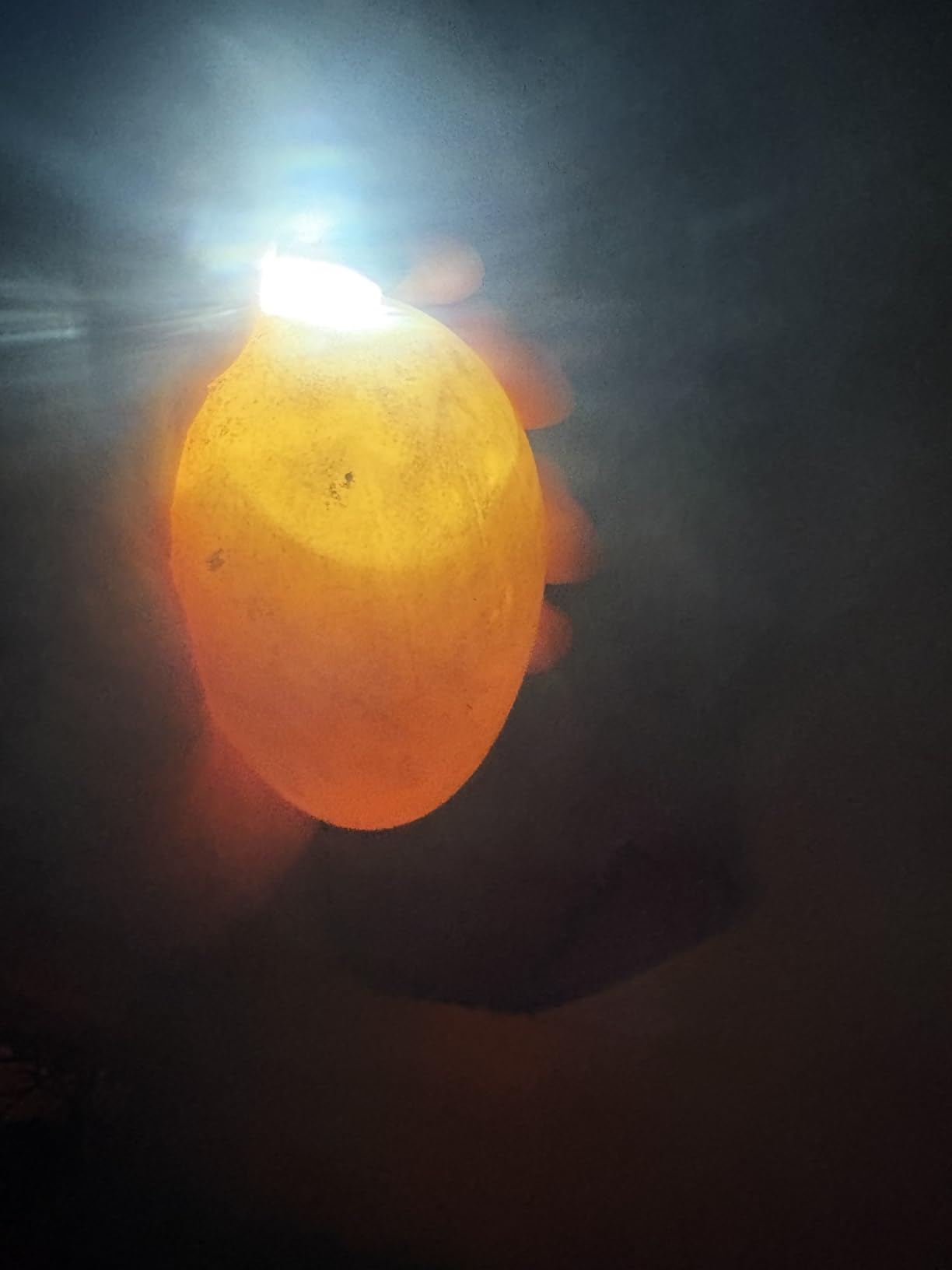 Incu-Bright™ Ultra Bright LED Egg Candler - Portable Light for All Egg Size customer photo 1