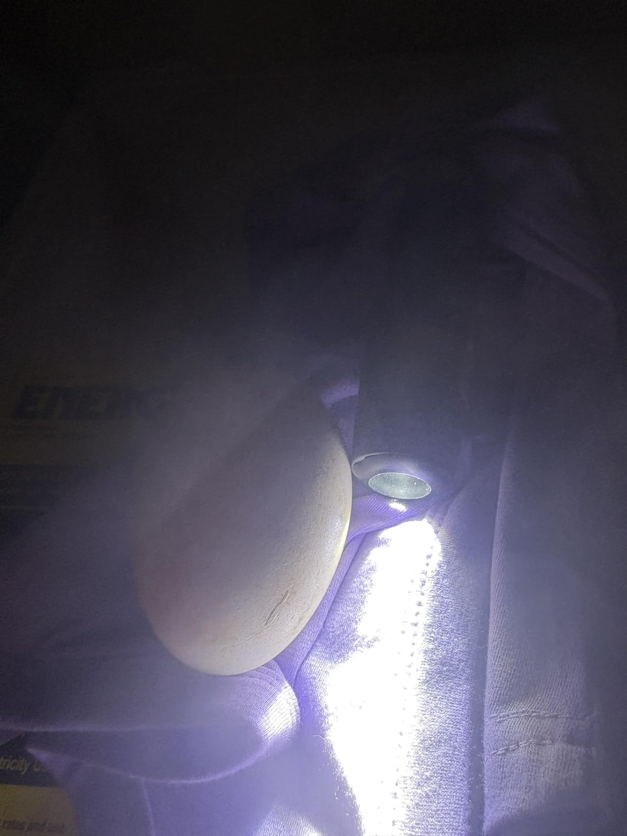 Incu-Bright™ Ultra Bright LED Egg Candler - Portable Light for All Egg Size customer photo 2