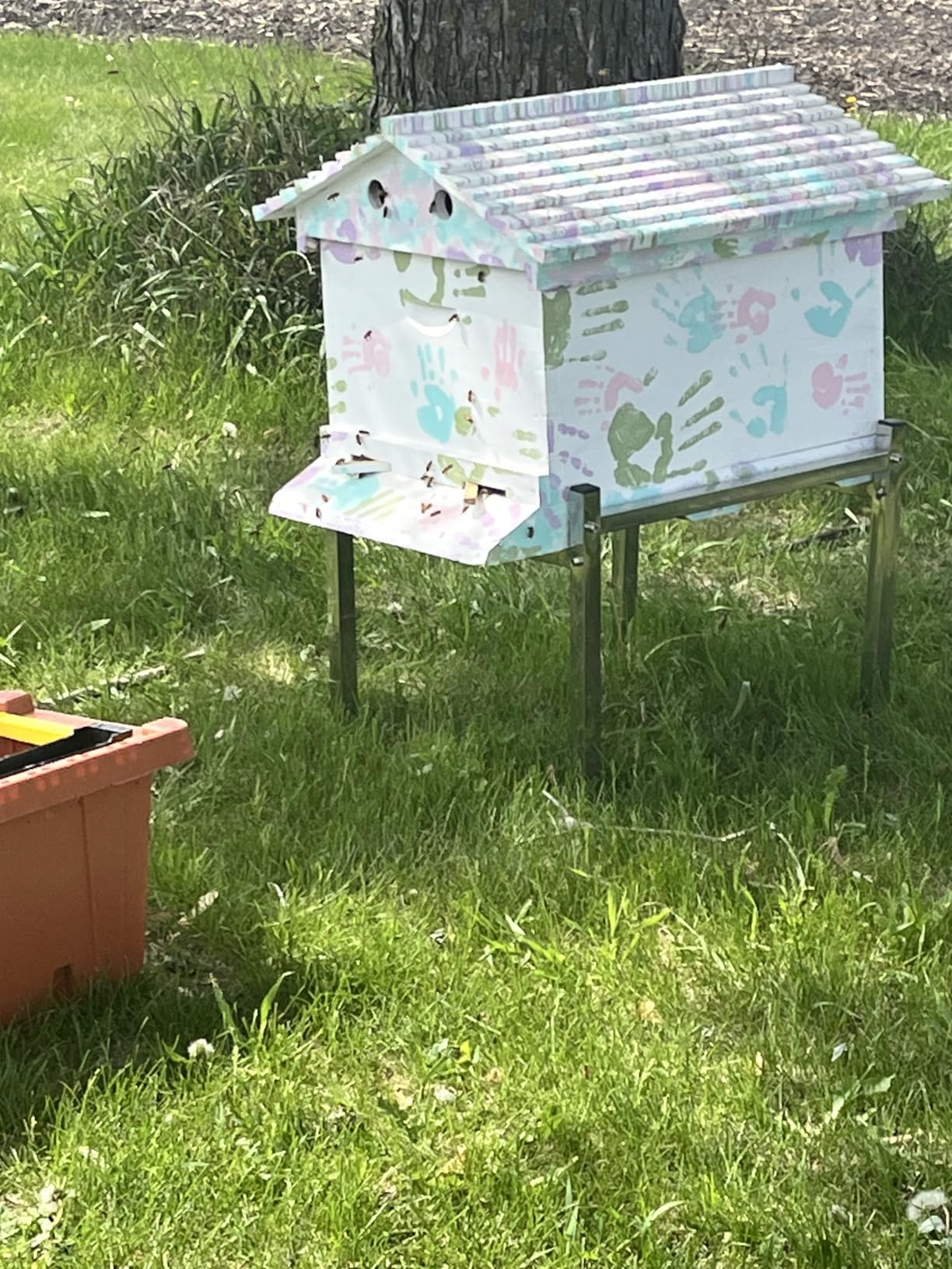 Golden Palace Bee Hive, Beehive with 7pcs Auto Super Frames, Bee House with Super Boxes and Brood Boxes, Bee Hives Starter Beekeeping Kits - Automatic Honey Extraction, Beginner-friendly customer photo 2