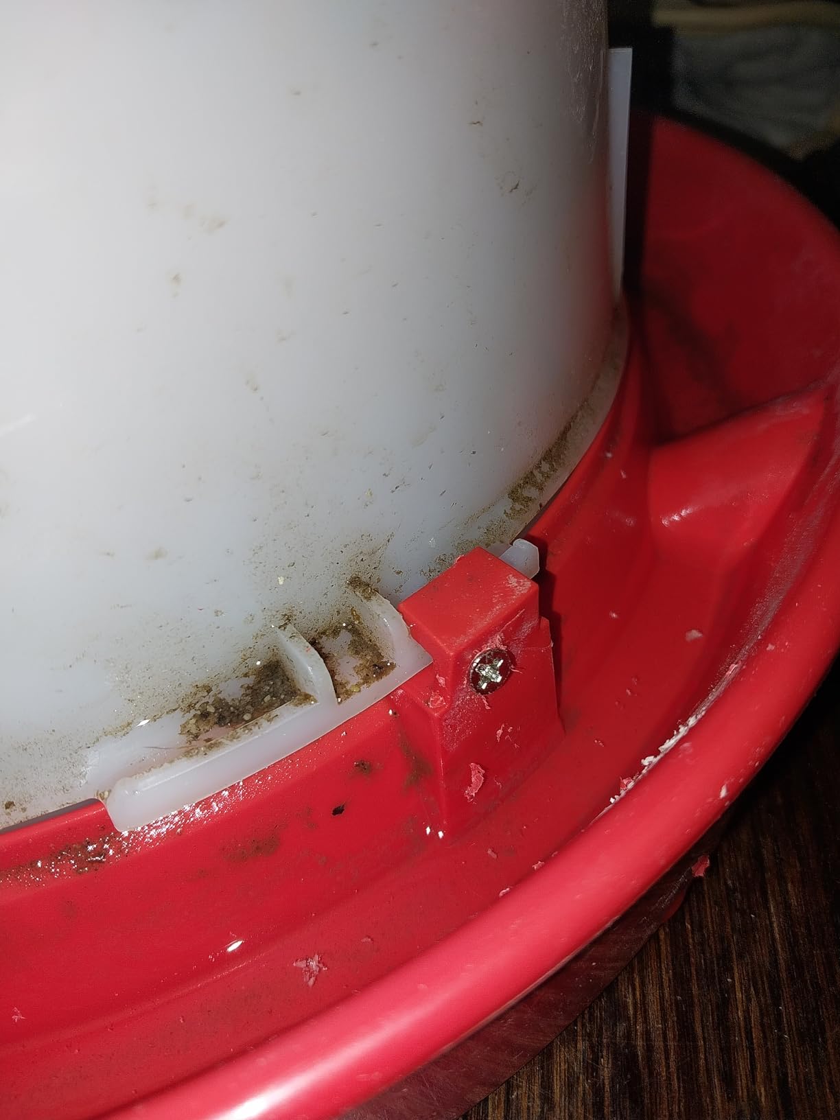 API 3 Gallon Heated Chicken or Bird Waterer with Overheating Protection, Galvanized Steel Handle, and Easy to Fill Funnel Design customer photo 1