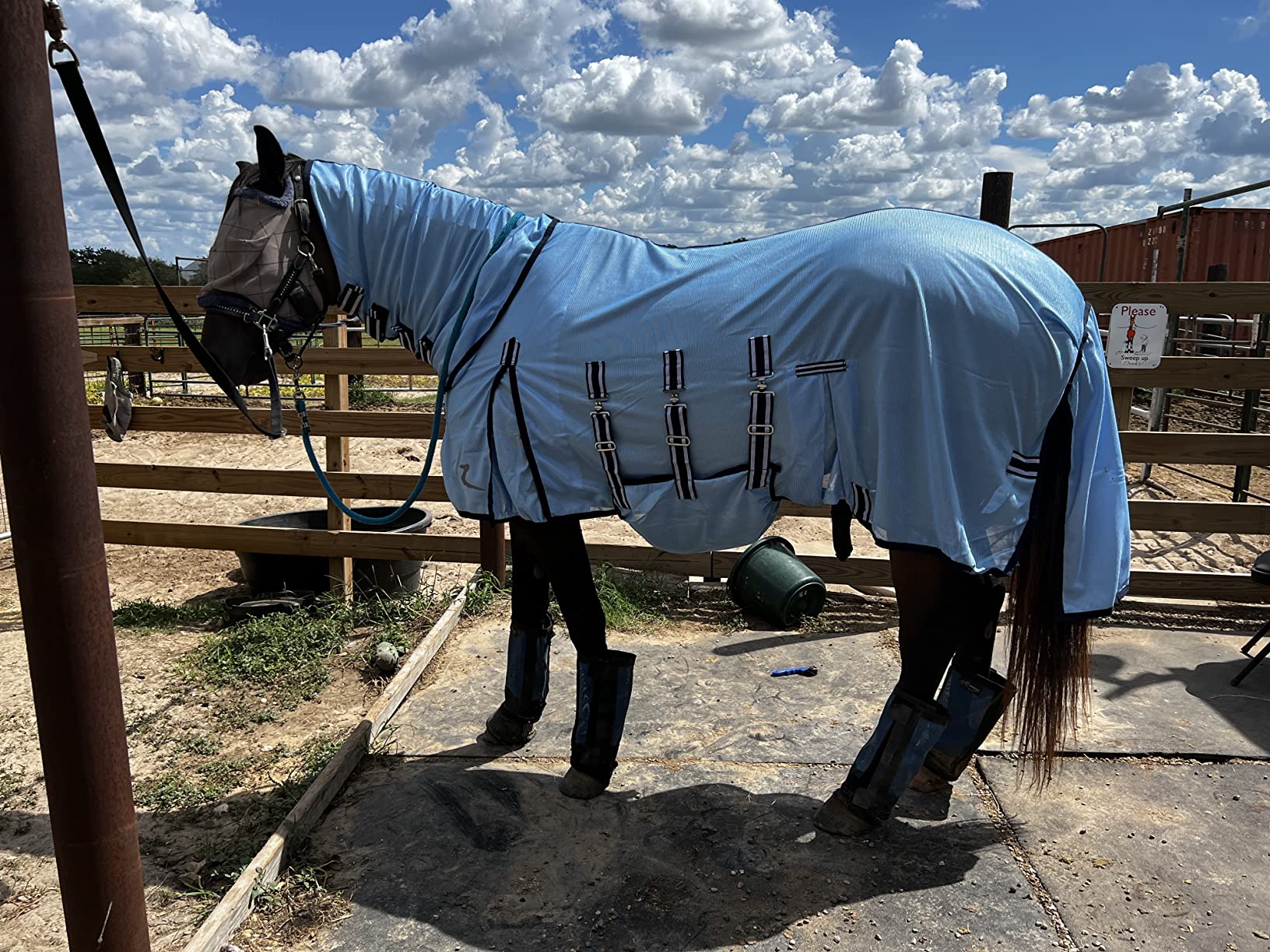 Horze Freja Horse Fly Sheet with Belly Band, Equine Fly Sheet for Horses | Mesh Horse Fly Sheets with Neck, Breathable Horse Sheets, Lightweight, Sun Protection, Detachable Neck Cover, Light Blue customer photo 2