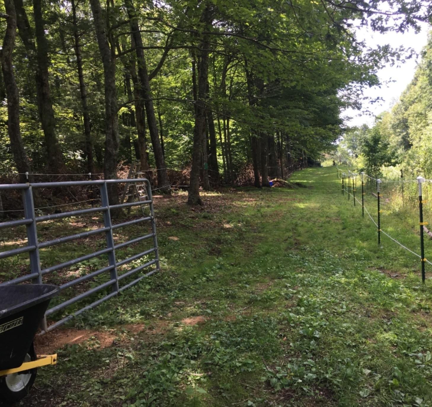 Pasture Seed, 25 lb 23094 customer photo 1