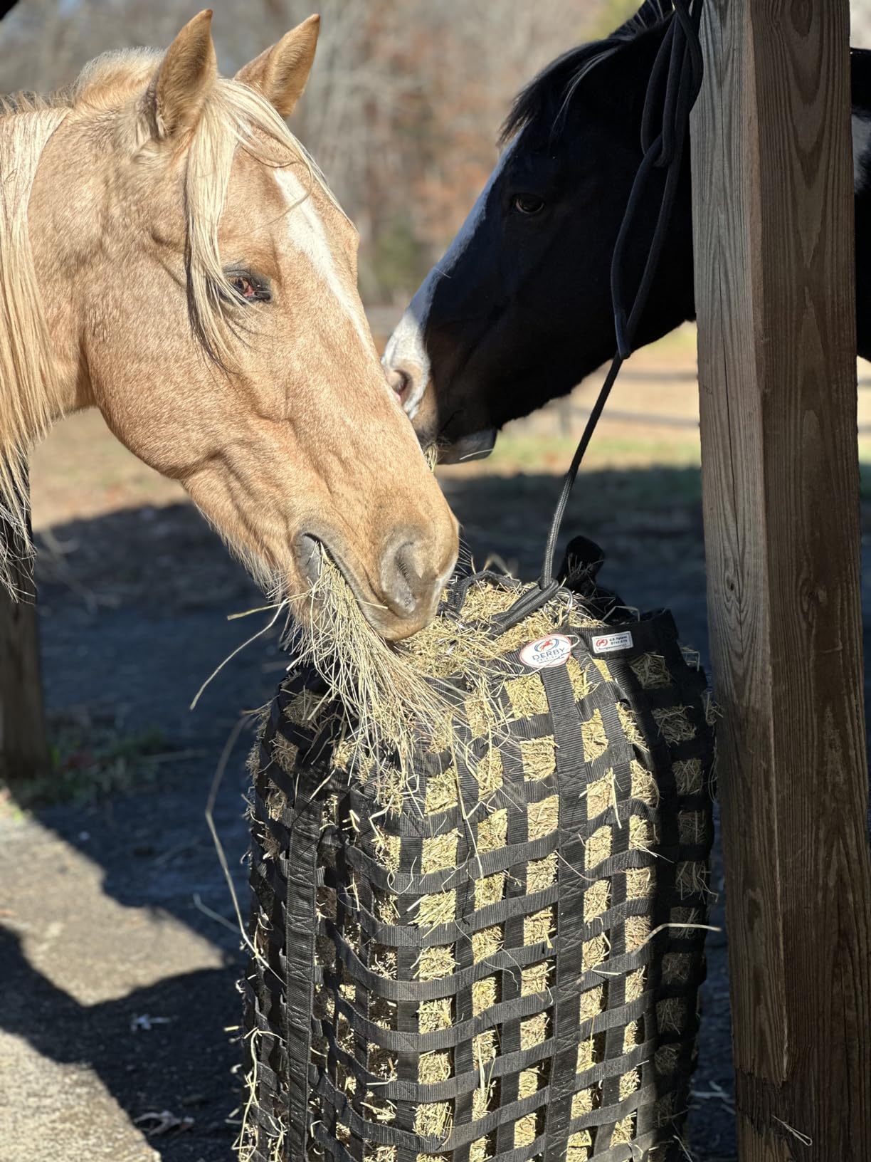 Derby Originals XL Go Around Slow Feeder Horse Hay Bag with Super Tough Bottom and 1 Year Warranty, Royal Blue customer photo 2