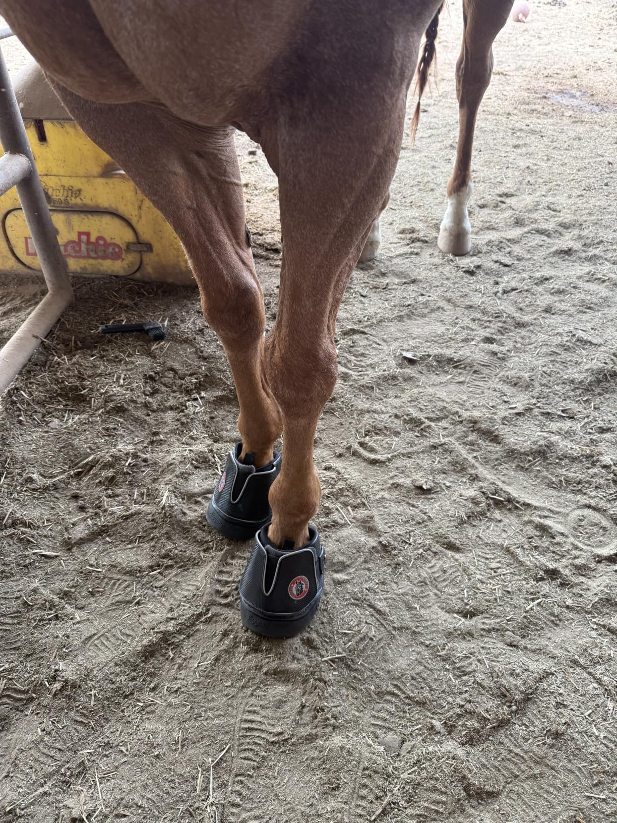Equine Fusion Active Jogging Shoe Flexible Hoof Boots for Horses customer photo 1