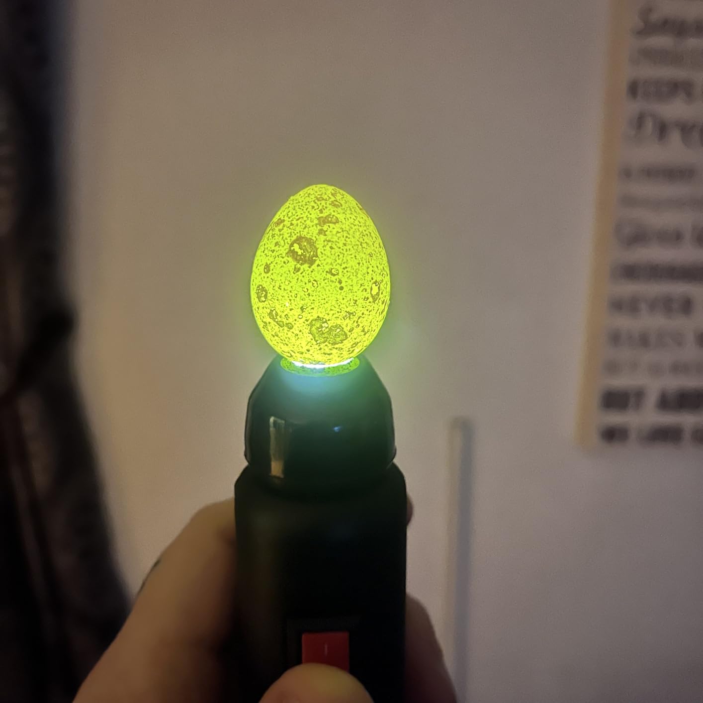 HBlife Wired LED Egg Candler, Bright Cool Light Egg Candler Tester for Monitoring Egg Development customer photo 1