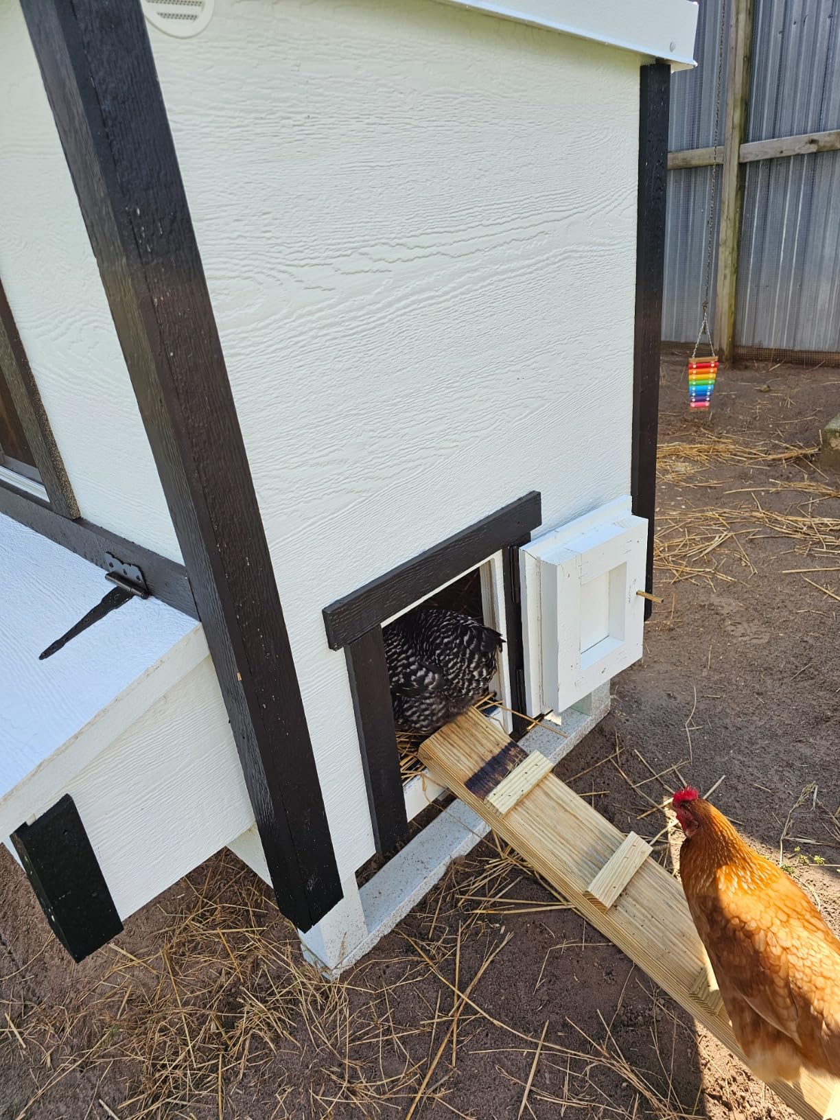 OverEZ Classic Medium Chicken Coop for up to 10 Chickens - Nesting Box - Large Bird, Poultry and Hen House, Made in USA customer photo 1