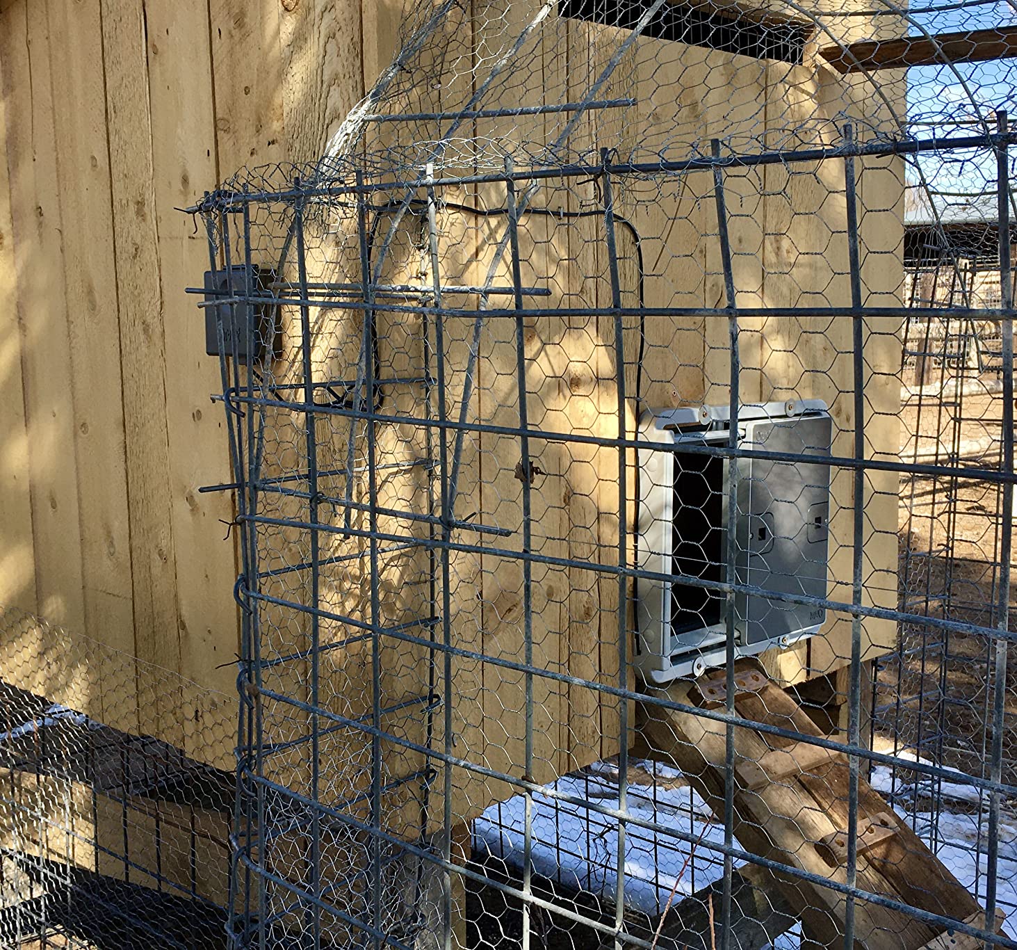 Omlet Automatic Chicken Coop Door Opener Operated by Light Sensor or Timer | Easy to Install, No Maintenance Required | Improves Coop Security and Insulation | Built-in Safety Sensors | Green customer photo 1
