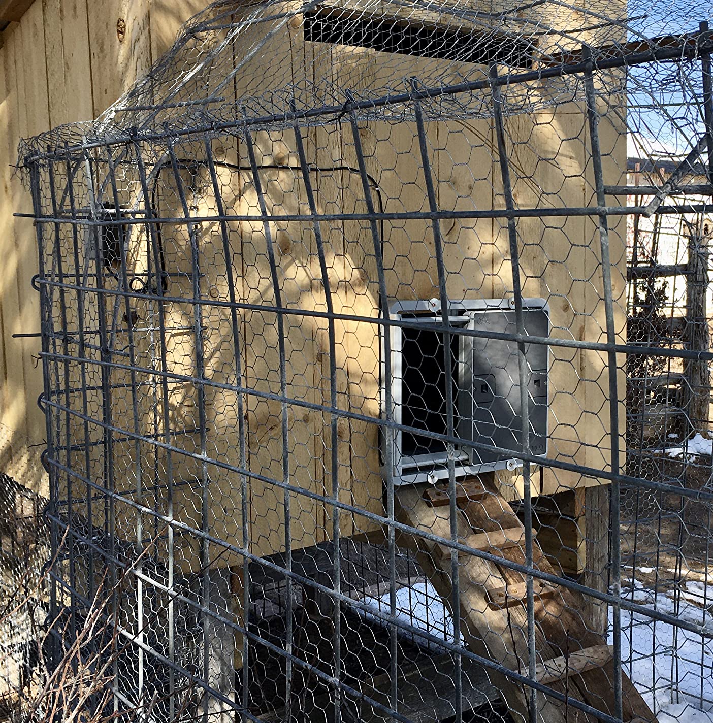 Omlet Automatic Chicken Coop Door Opener Operated by Light Sensor or Timer | Easy to Install, No Maintenance Required | Improves Coop Security and Insulation | Built-in Safety Sensors | Green customer photo 2