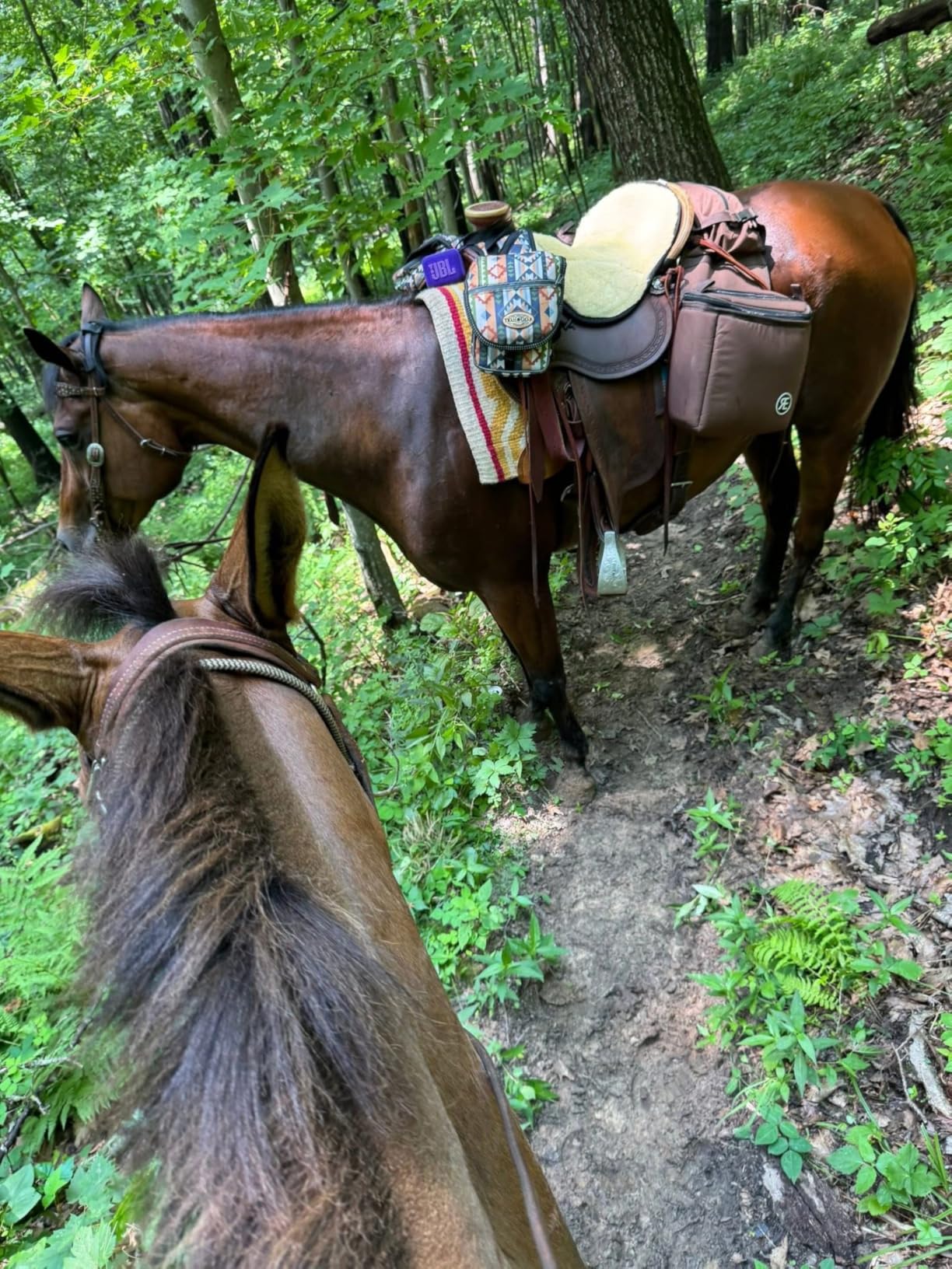 REINSMAN Insulated Leakproof Cooler Saddle Bag with Additional Cantle Bag and Straps customer photo 1