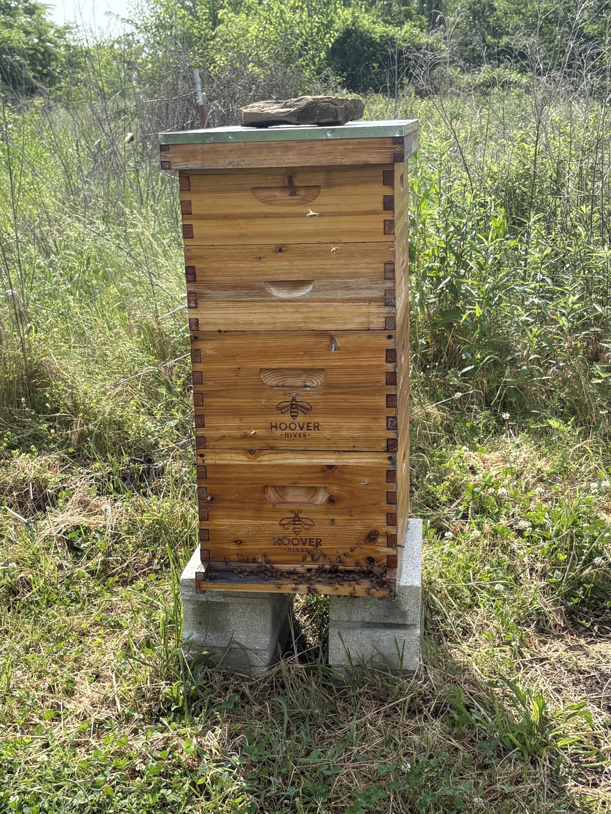 Hoover Hives: The Original Beeswax Coated Beehive Kit. Includes 2 Deep & 1 Medium Boxes with 10 Wooden Frames & Heavy Wax Coated Foundations. Easy Assembly with Predrilled Holes& Screws (Unassembled) customer photo 1
