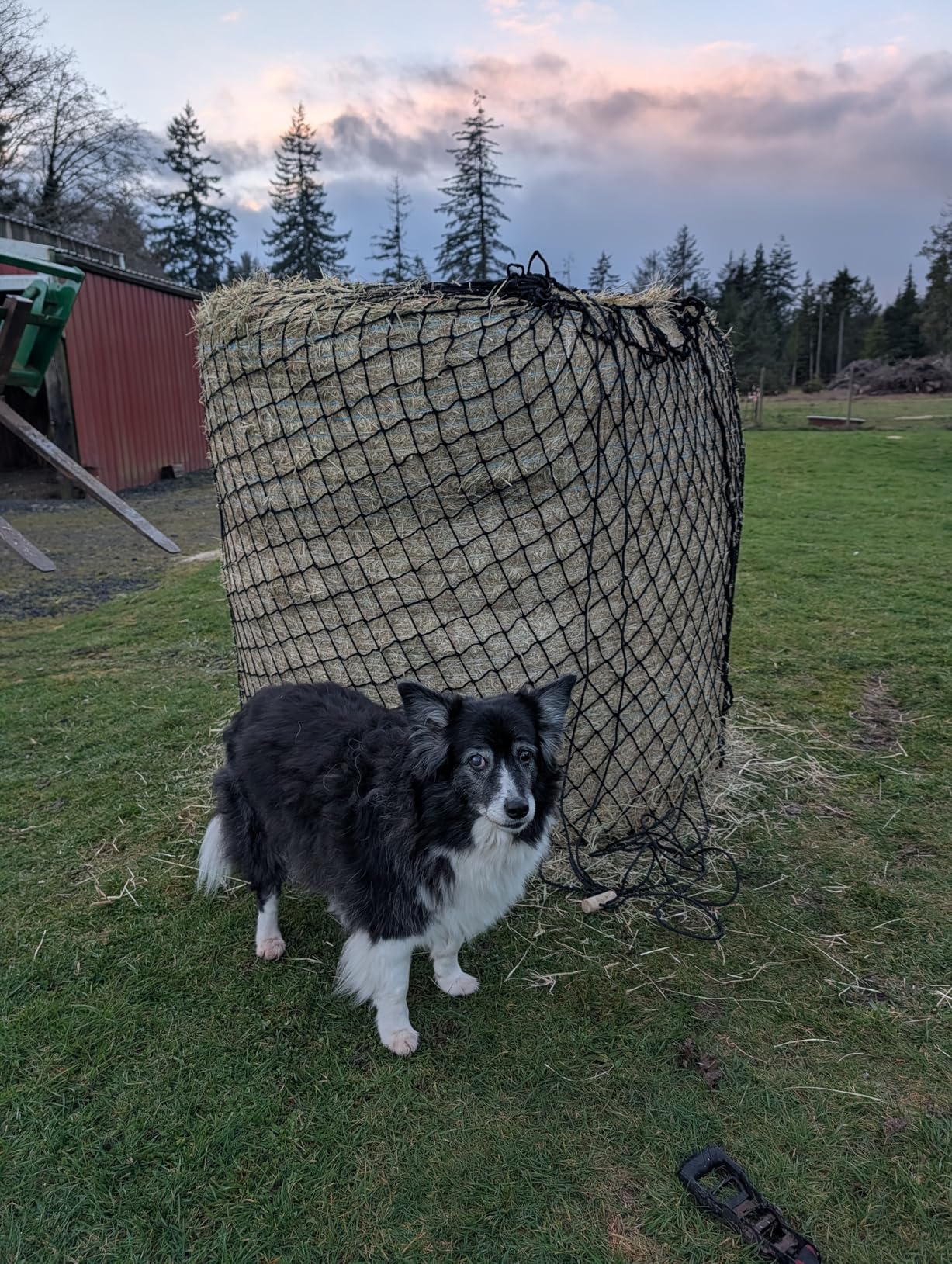 KNOTLESS Heavy Duty 5mm Thick Round Bale Slow Feed Hay Net 6x6 (Hole_Size_2.5 inches) customer photo 1