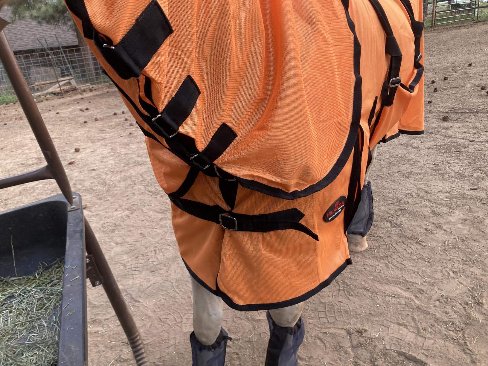 HILASON Horse Fly Sheet UV Protect Breathable Mesh Bug Mosquito Spring | Summer Horse Rug | Fly Rug customer photo 2