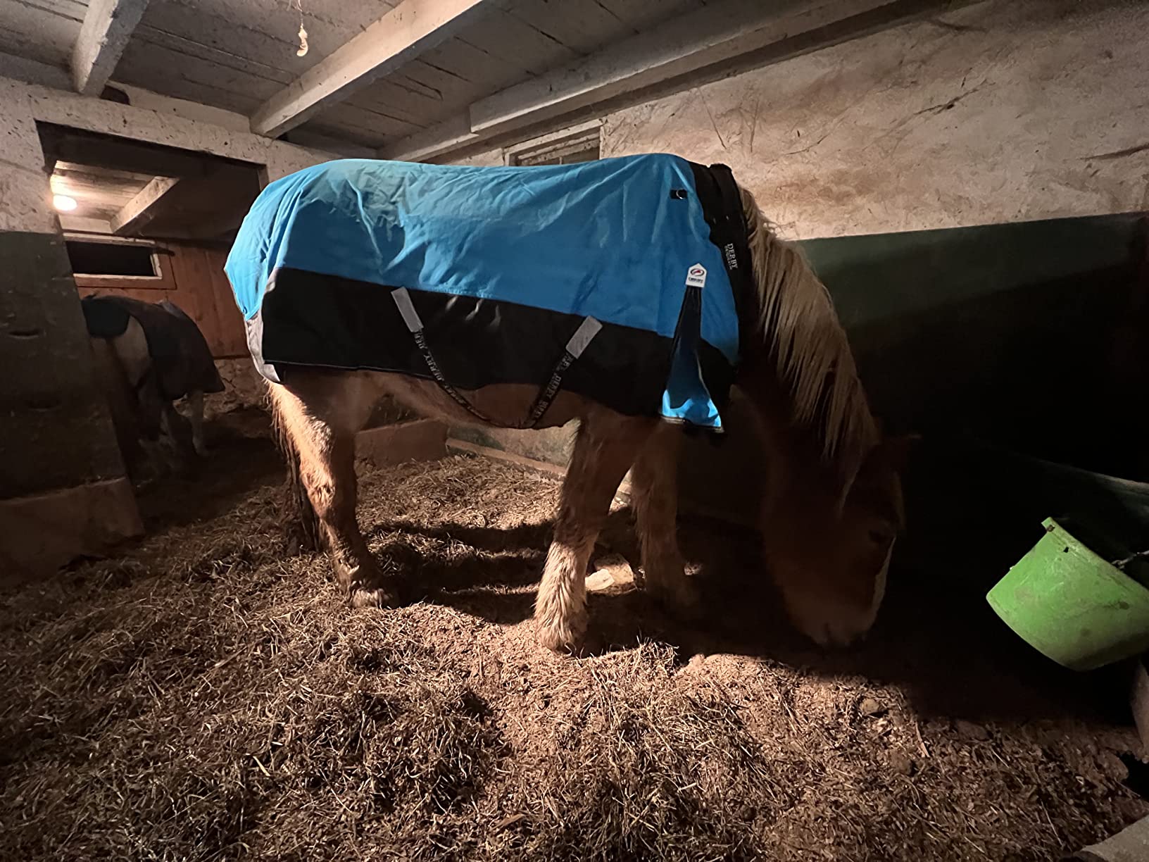 Derby Originals Nordic-Tough 1200D Reflective Waterproof Winter Horse Turnout Blanket, 300g Heavyweight Insulation, 2-Year Warranty customer photo 2