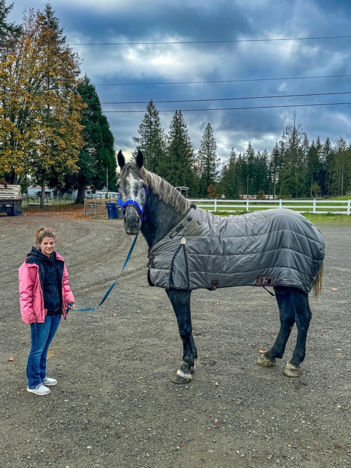 Derby Originals Nordic-Tough 420D Reflective Horse Stable Blanket - Mediumweight 200g Insulation, Breathable, West Coast Winter Coverage customer photo 1
