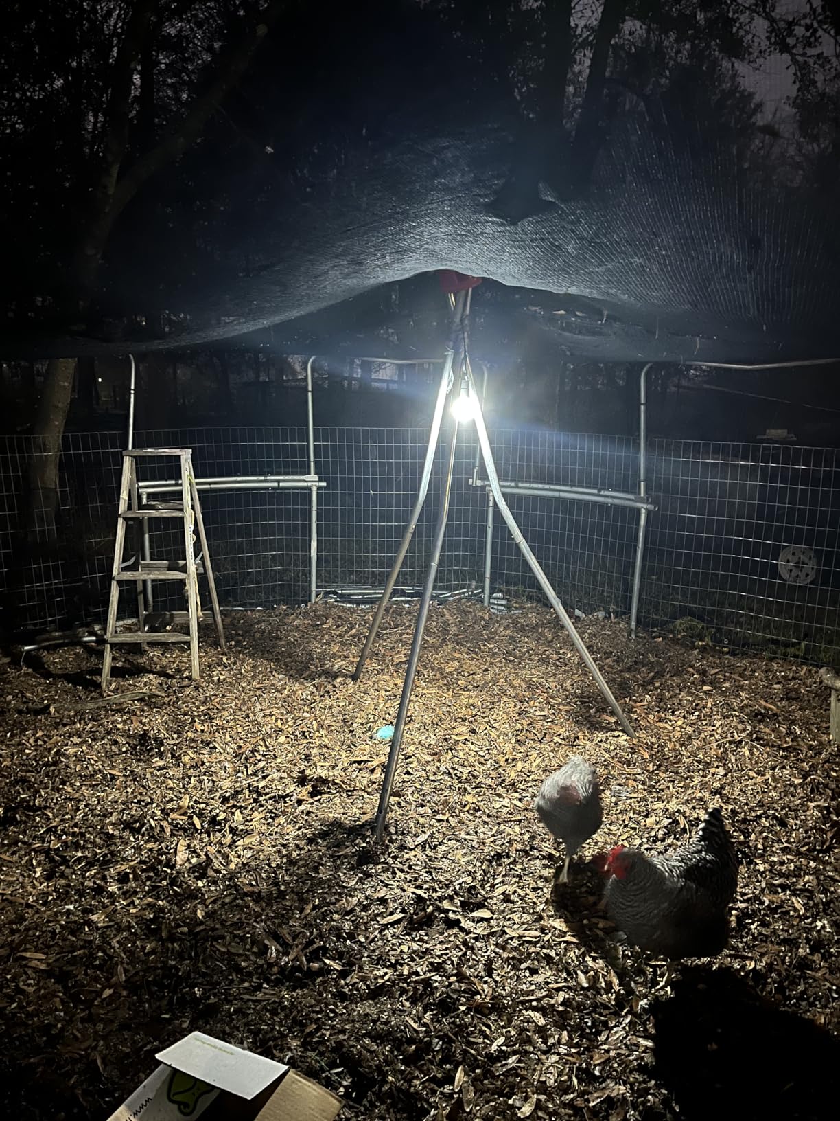 Portable Solar Light Bulbs for Indoor Home and Chicken Coop, Chicken Coop Light with Timer, LED Solar Lights for Indoor Emergency Power Outage customer photo 2
