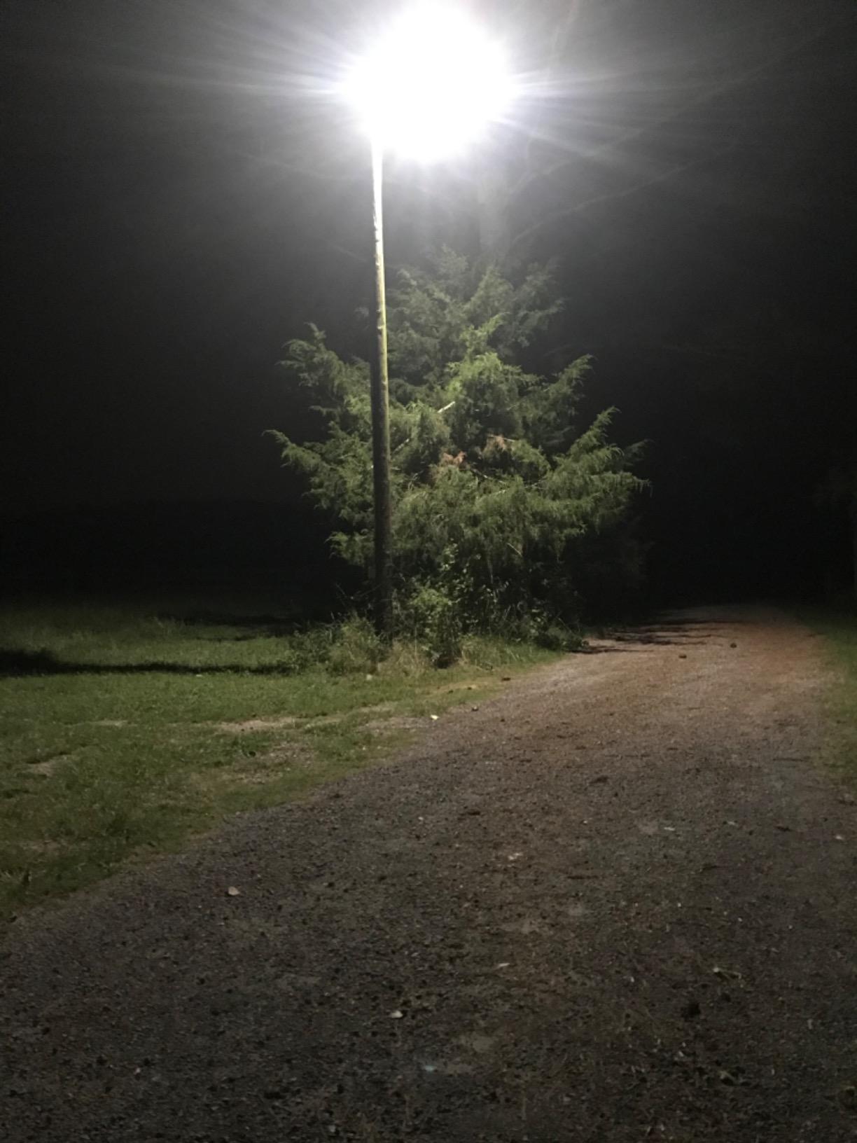 CINOTON 55W 6600LM LED Barn Light, 5000K, ETL Listed, Dusk to Dawn Outdoor Security Light, 120V Home-Optimized, IP65 Waterproof Aluminum Housing Outside Flood for Yard, Garages customer photo 2
