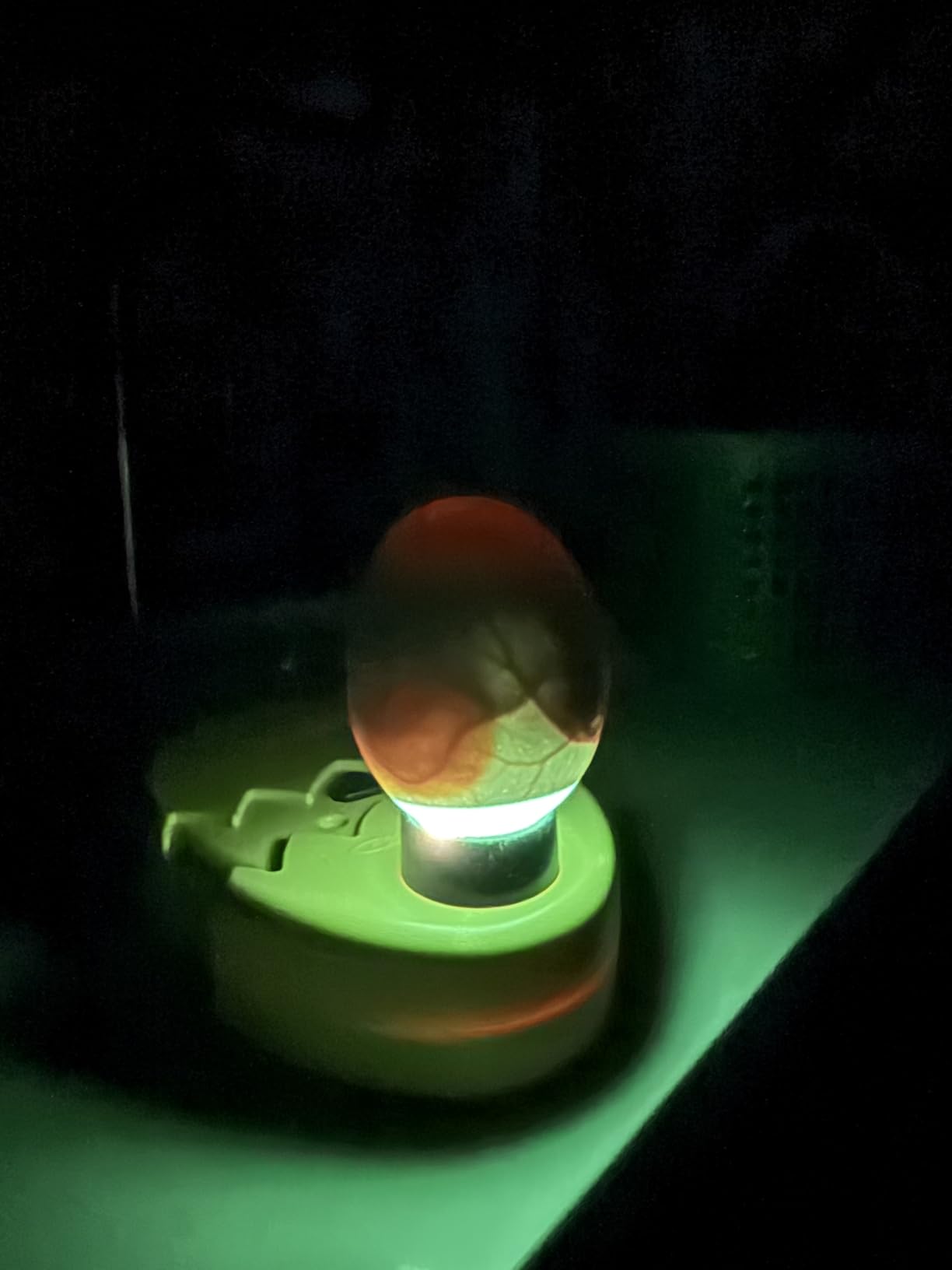 Titan Incubators Ultrabright Chicken Egg Candler/Egg Candling - Battery Powered customer photo 1