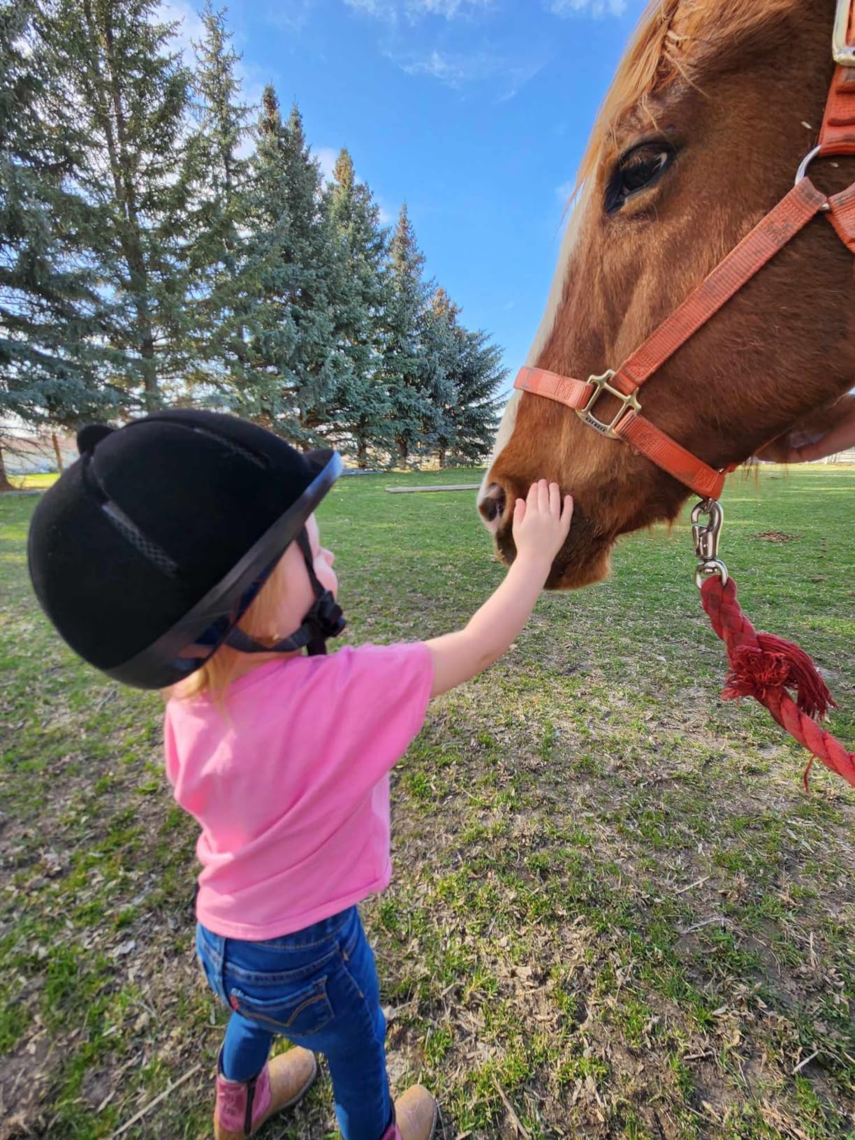Adjustable Horse Riding Kids Helmet Equestrian for 2 to 6 Years Old, S Size and Head Size 48 to 54cm customer photo 2