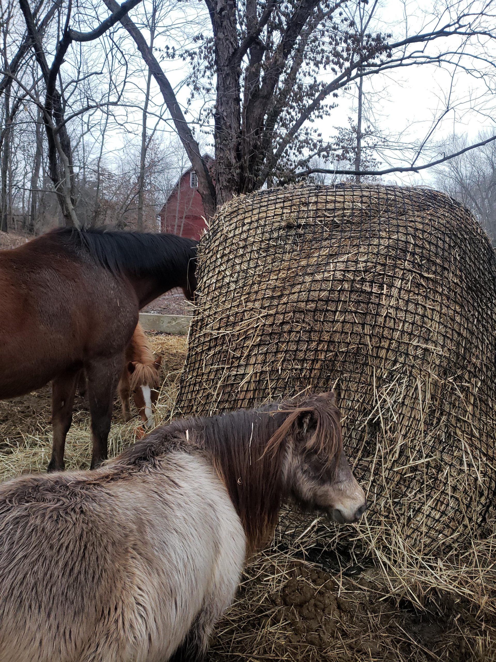 Aoneky Bale Hay Net -Average Feed Haynet for Horses - 6 x 6 ft / 5 x 5 ft customer photo 2